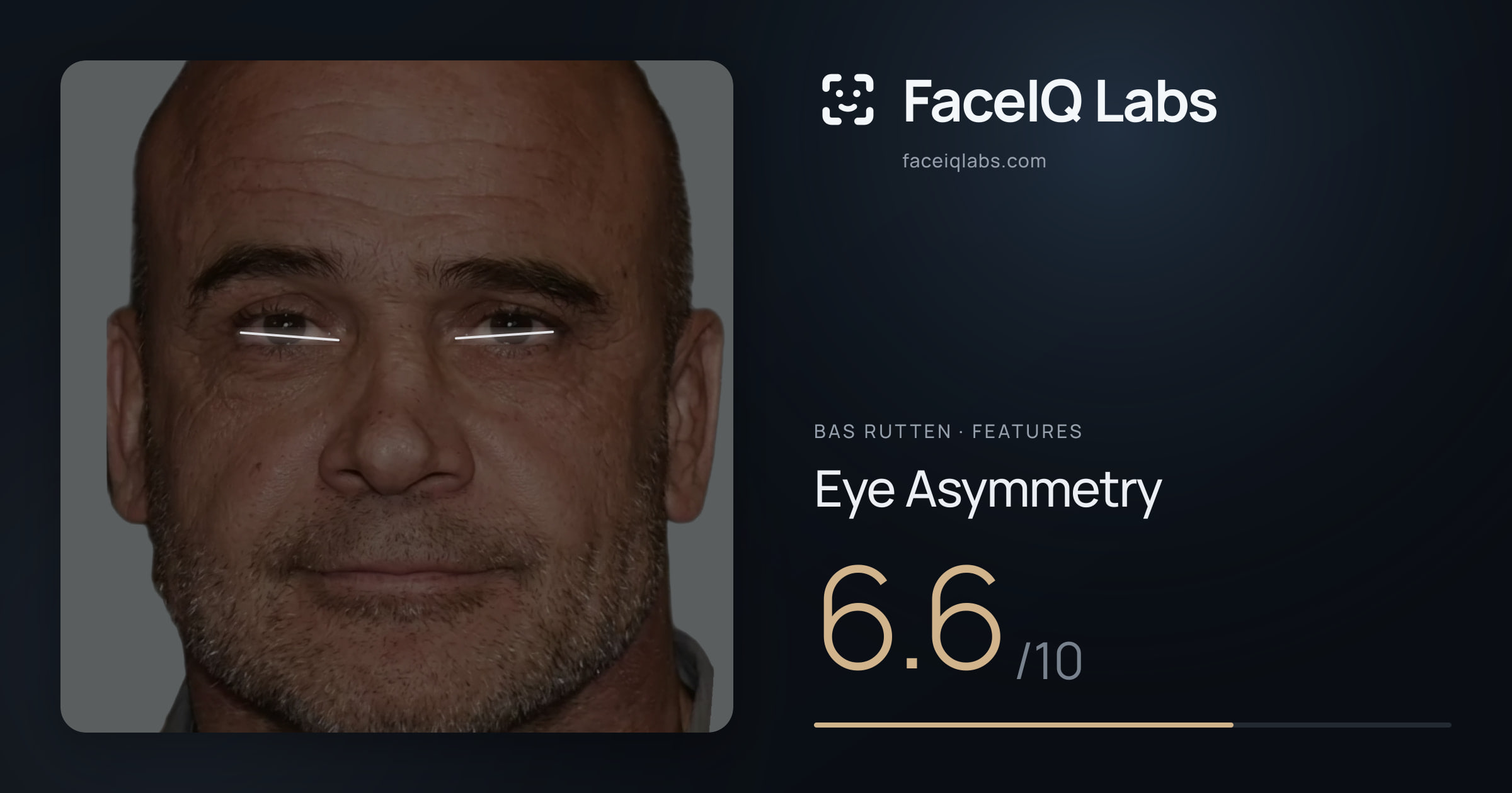 Bas Rutten Eye Asymmetry: 6.6/10, drawn on the photo