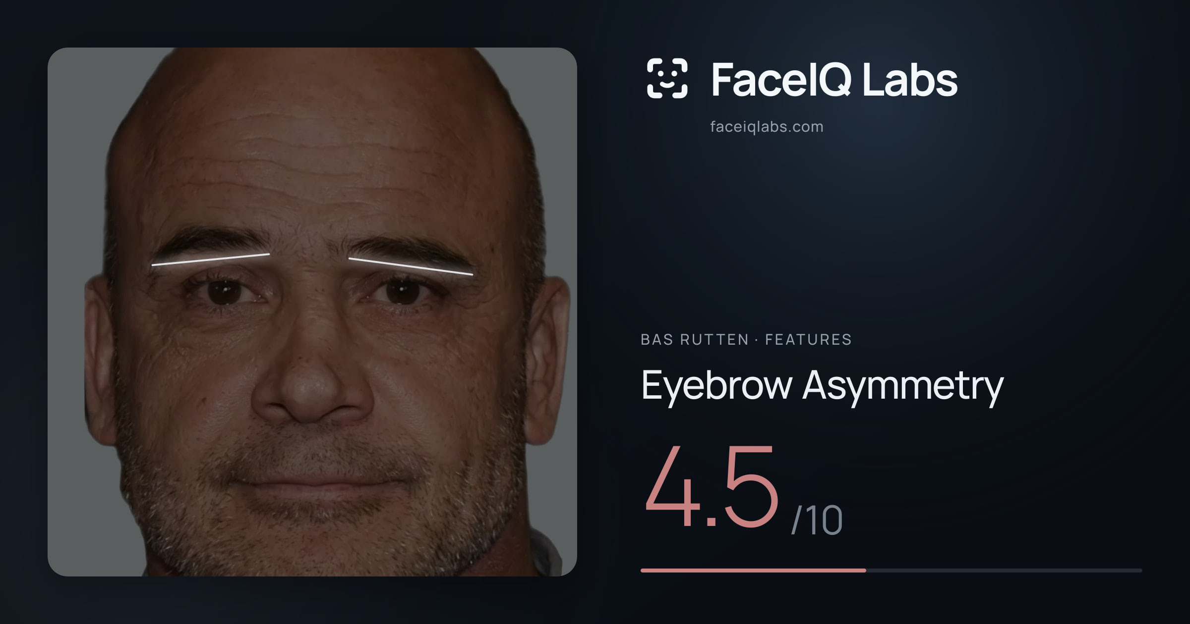 Bas Rutten Eyebrow Asymmetry: 4.5/10, drawn on the photo