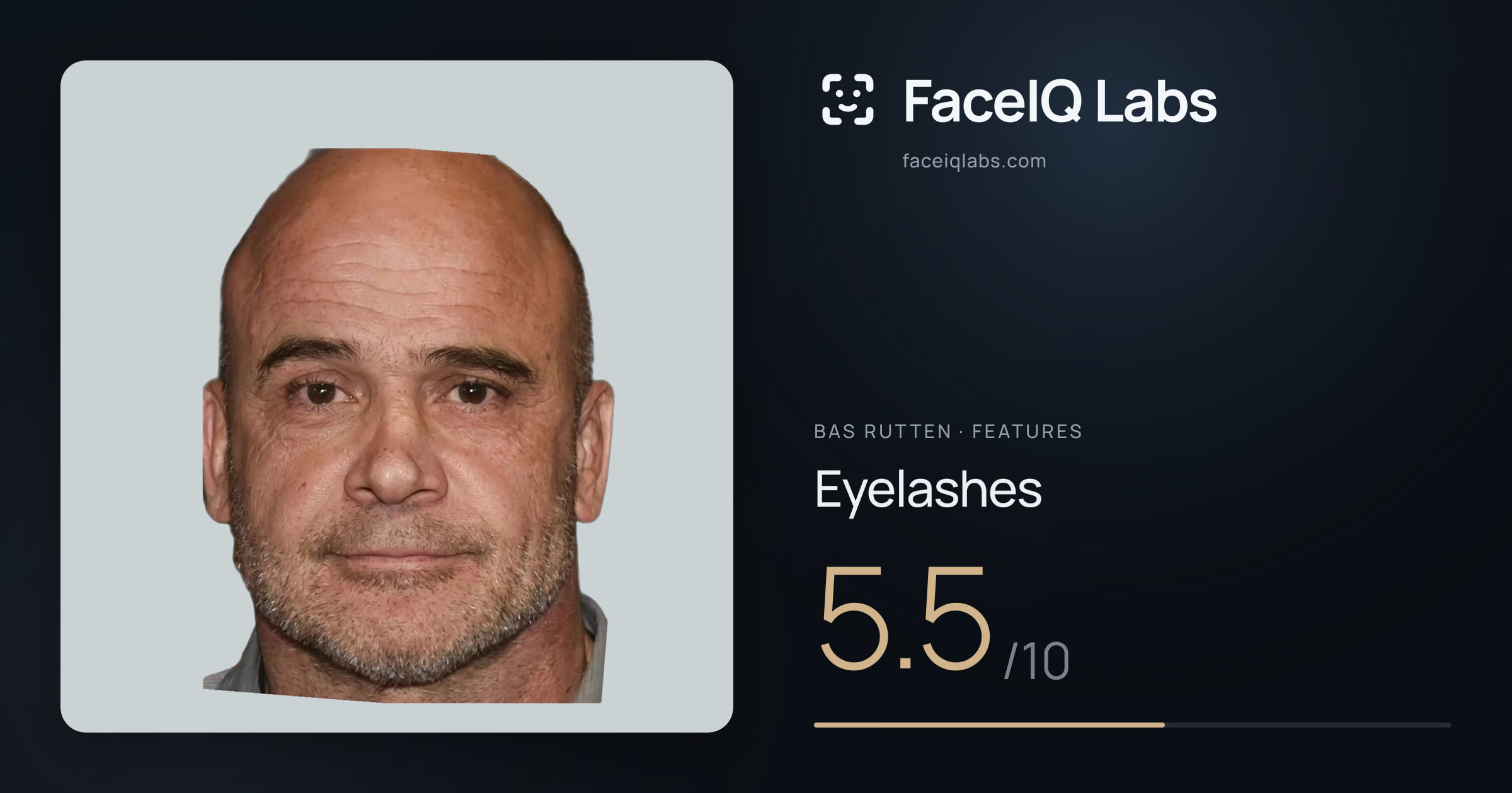 Bas Rutten Eyelashes: 5.5/10, drawn on the photo