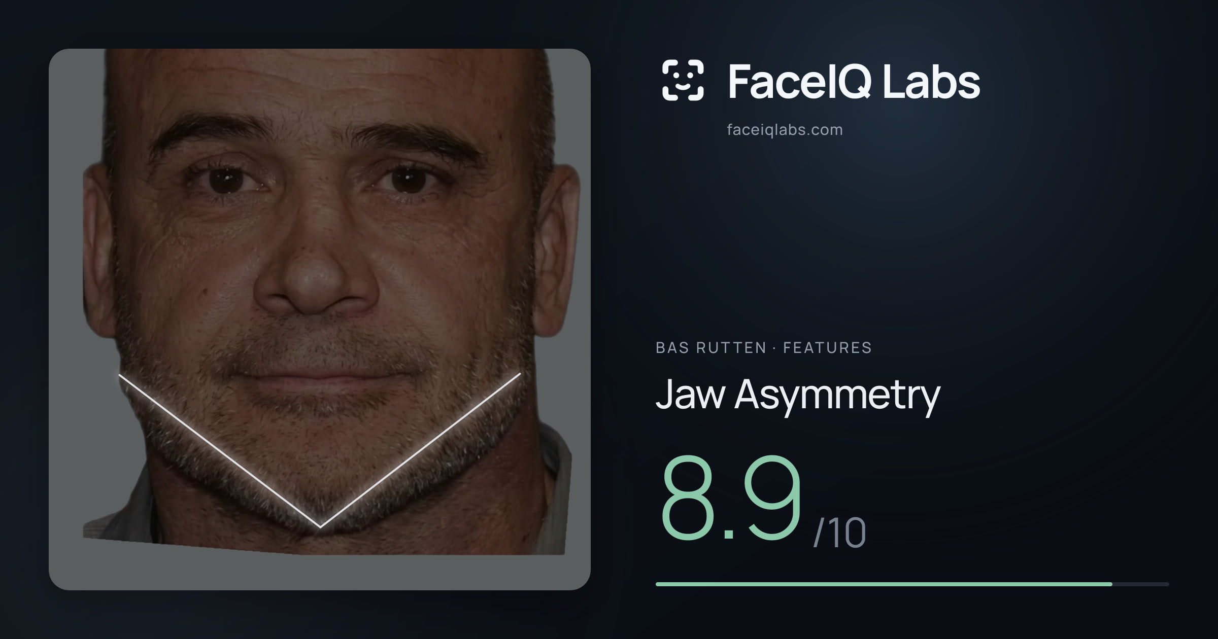 Bas Rutten Jaw Asymmetry: 8.9/10, drawn on the photo