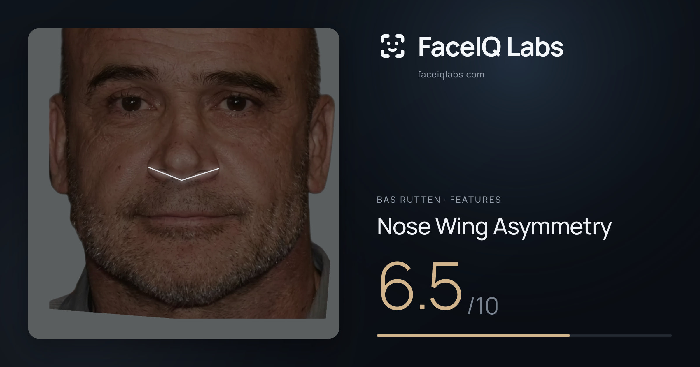 Bas Rutten Nose Wing Asymmetry: 6.5/10, drawn on the photo