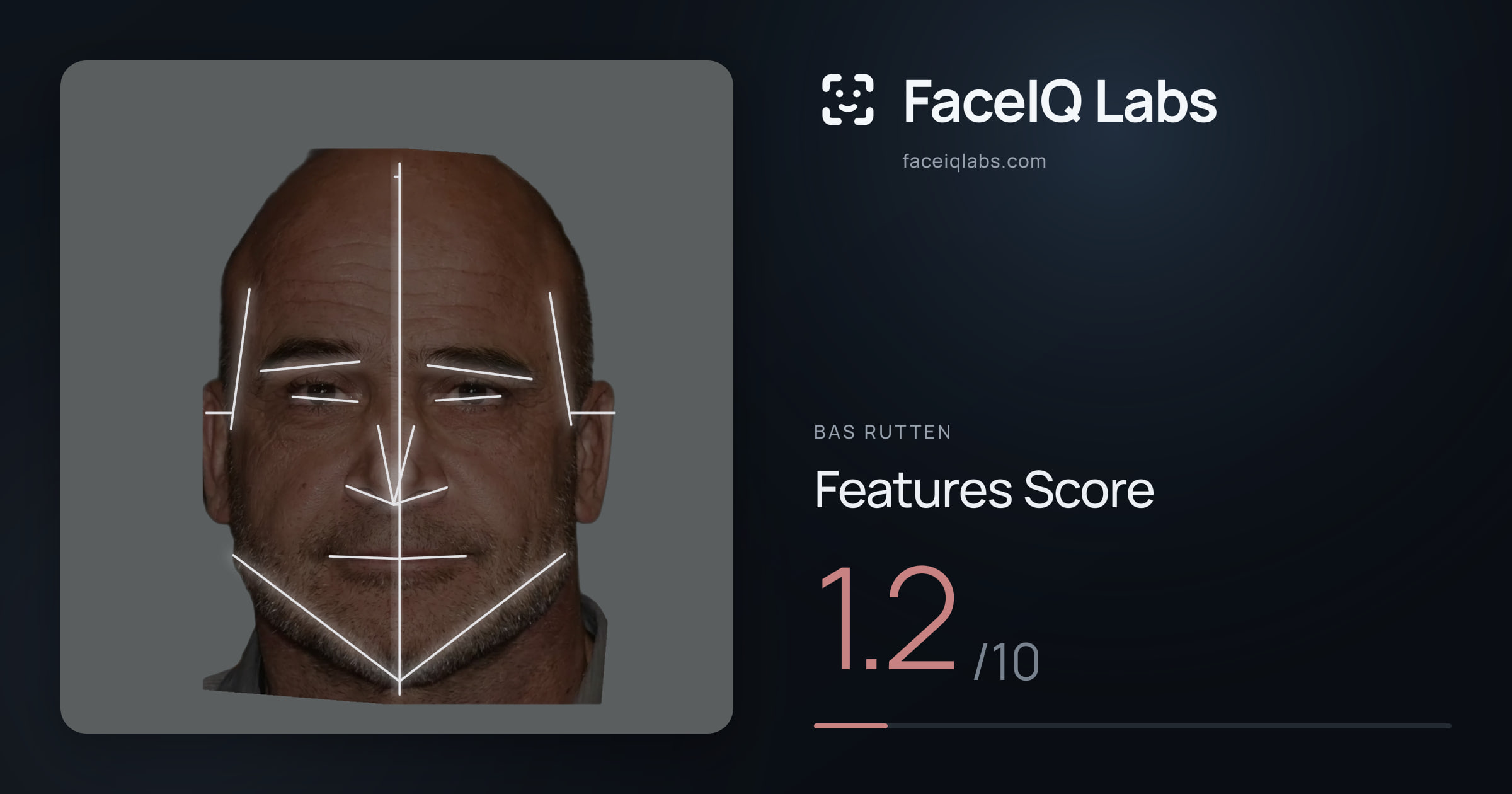 Bas Rutten Features: 1.2/10, with each assessment drawn on the photo