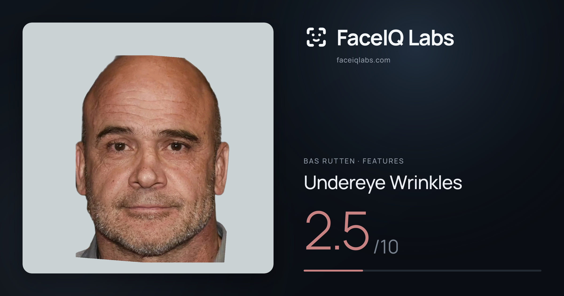 Bas Rutten Undereye Wrinkles: 2.5/10, drawn on the photo