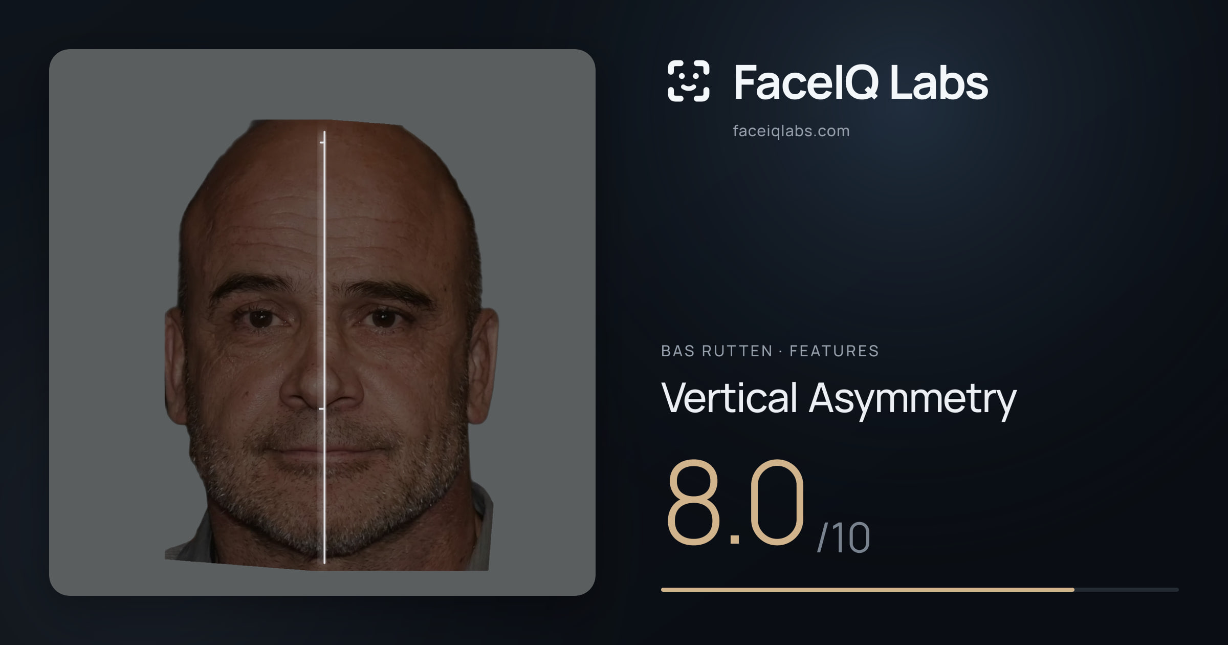 Bas Rutten Vertical Asymmetry: 8.0/10, drawn on the photo