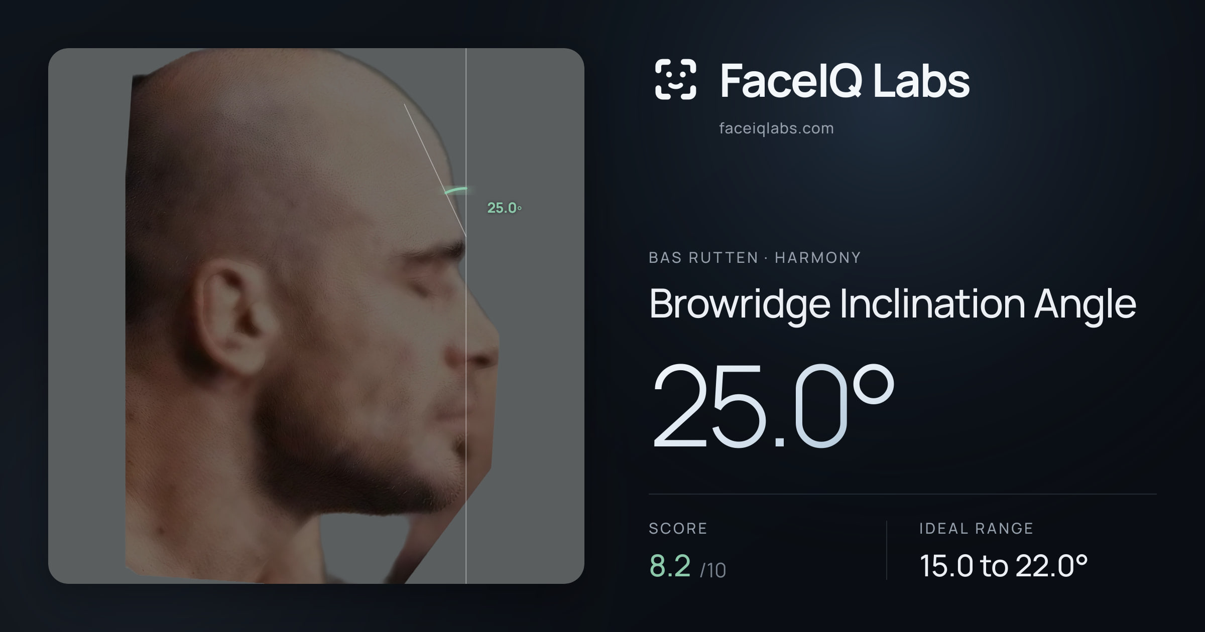 Bas Rutten Browridge Inclination Angle: 25.0°, drawn on the photo