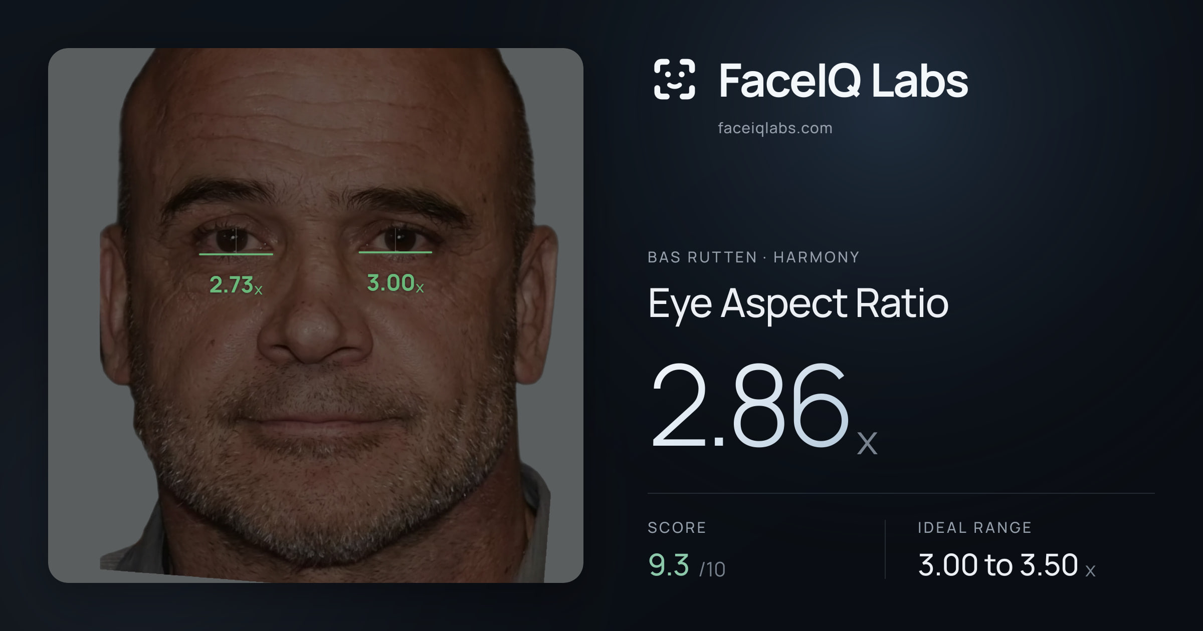 Bas Rutten Eye Aspect Ratio: 2.86x, drawn on the photo