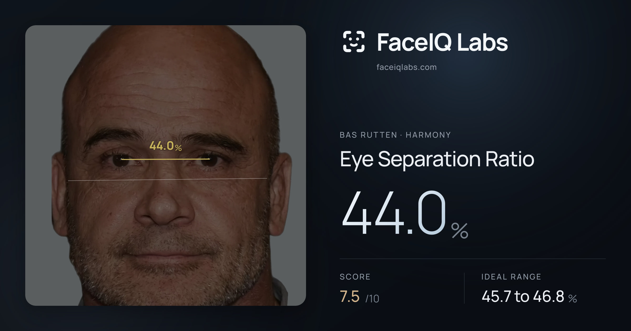 Bas Rutten Eye Separation Ratio: 44.0%, drawn on the photo