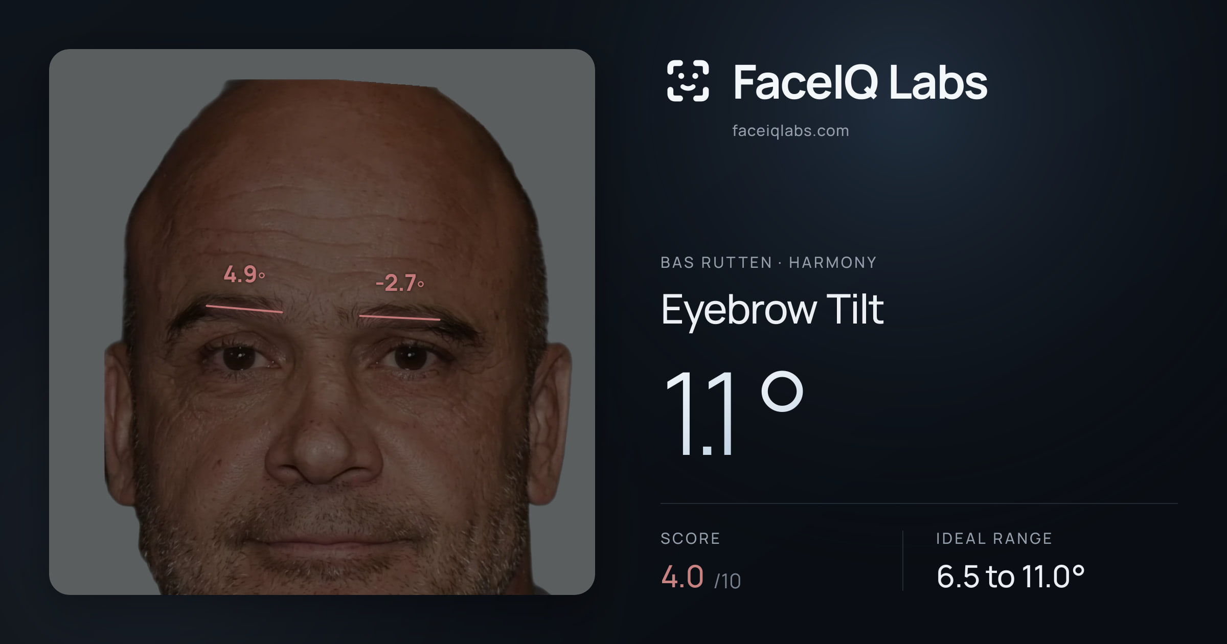 Bas Rutten Eyebrow Tilt: 1.1°, drawn on the photo