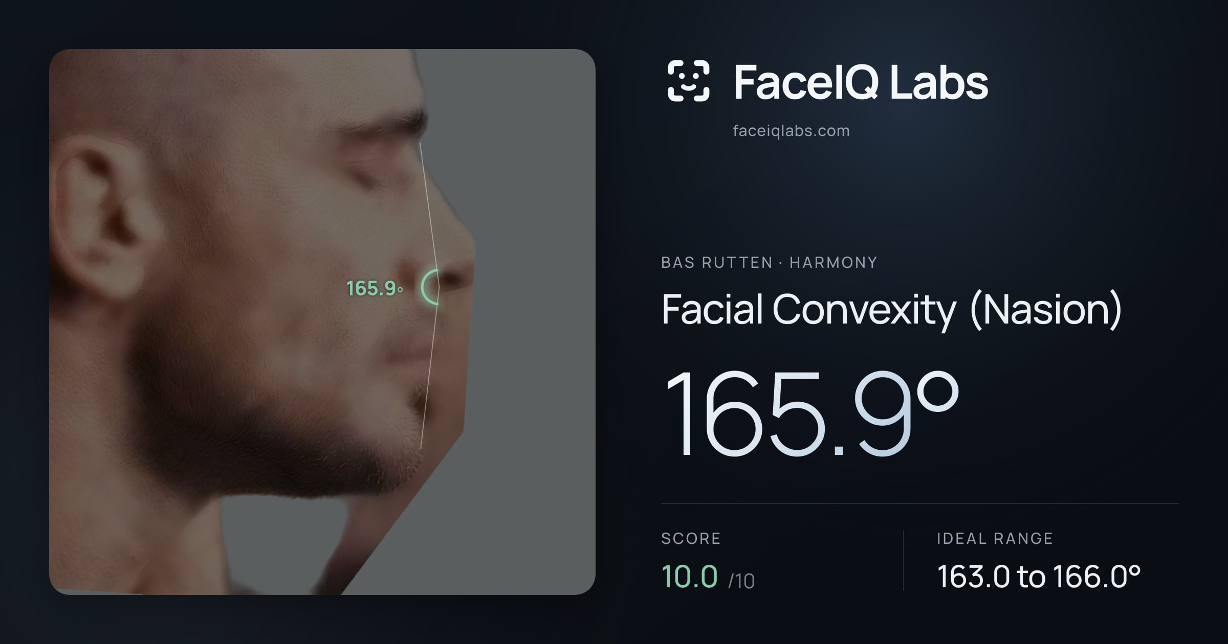 Bas Rutten Facial Convexity (Nasion): 165.9°, drawn on the photo