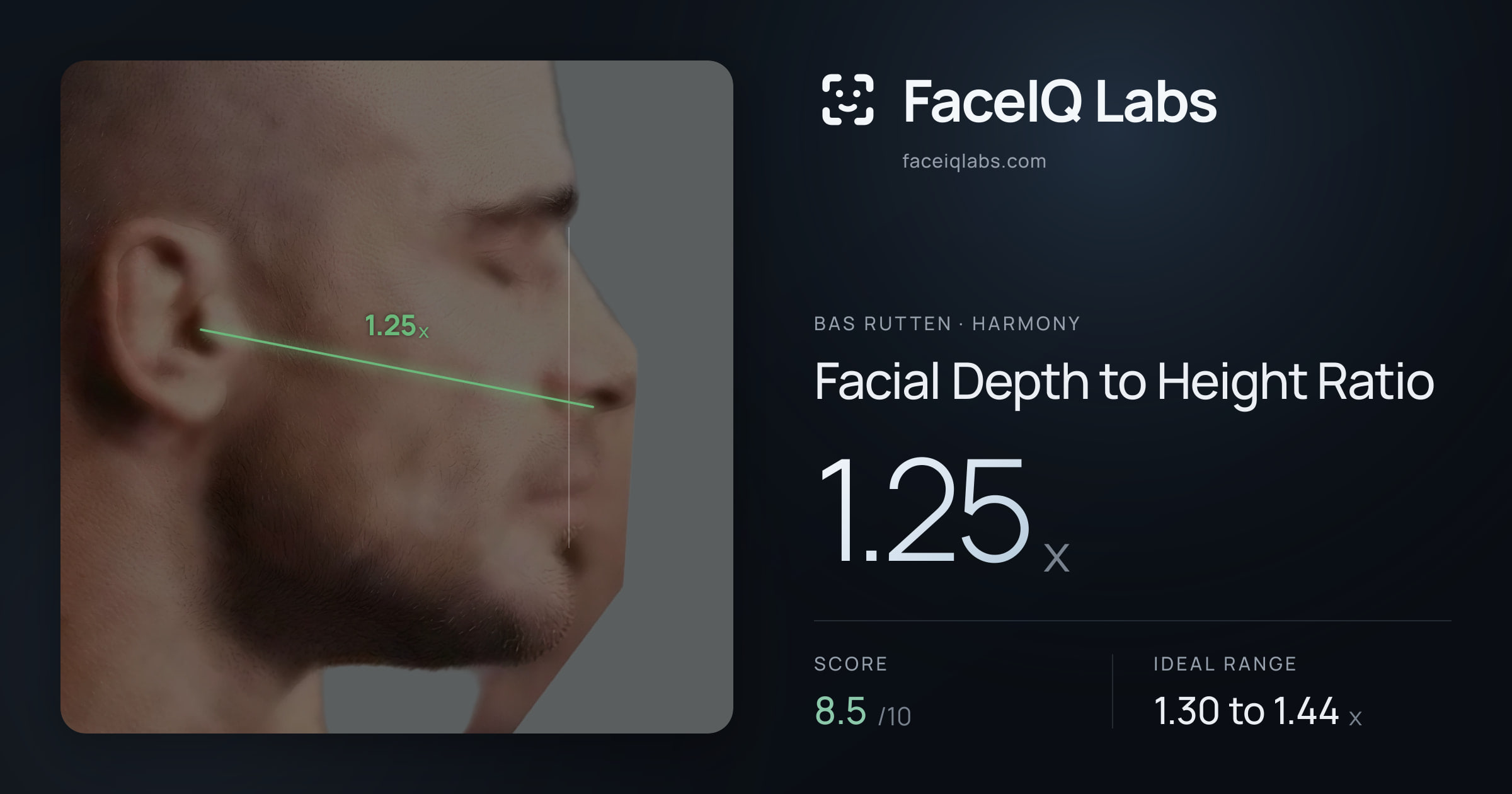 Bas Rutten Facial Depth to Height Ratio: 1.25x, drawn on the photo