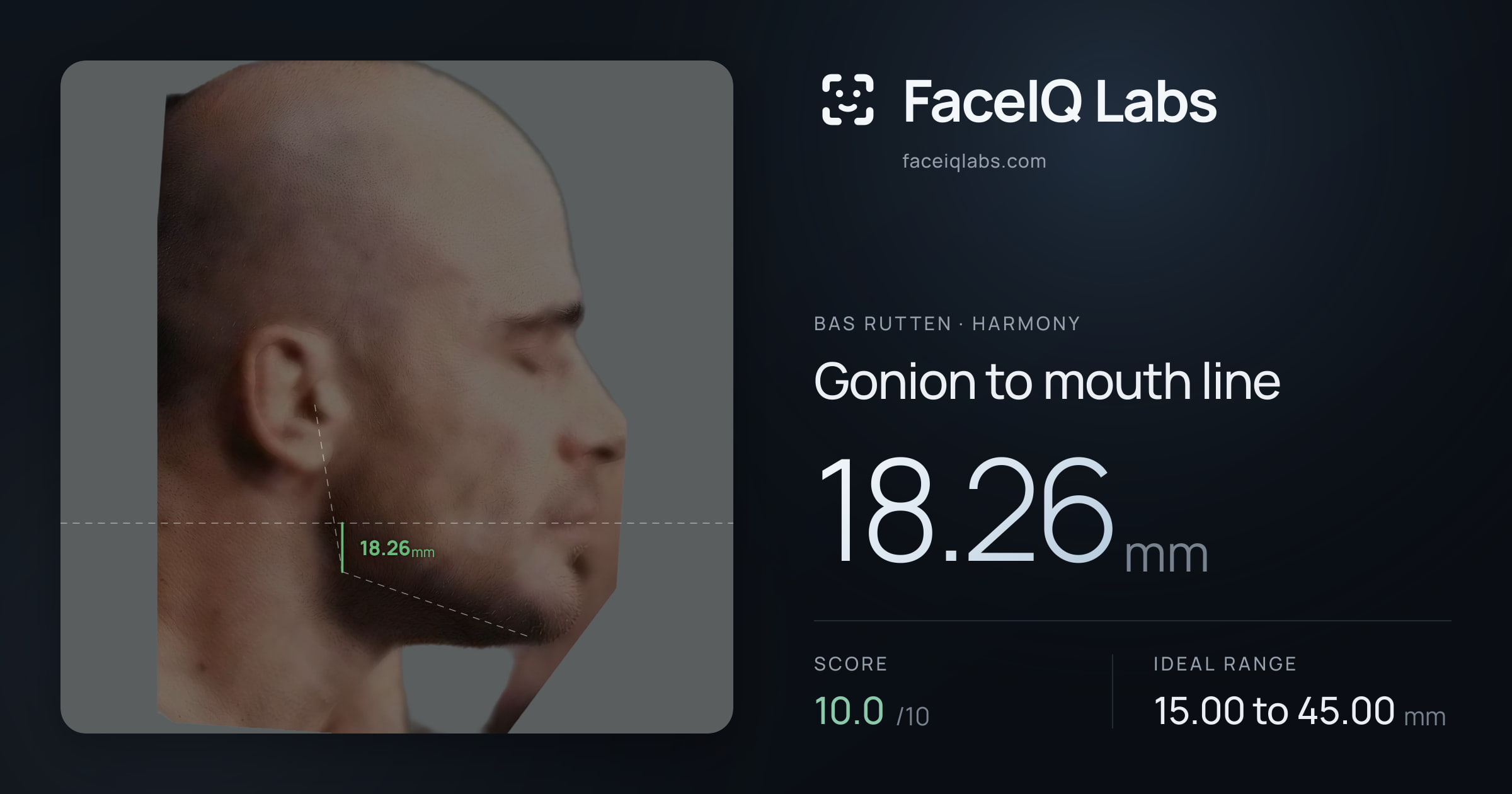 Bas Rutten Gonion to mouth line: 18.26mm, drawn on the photo