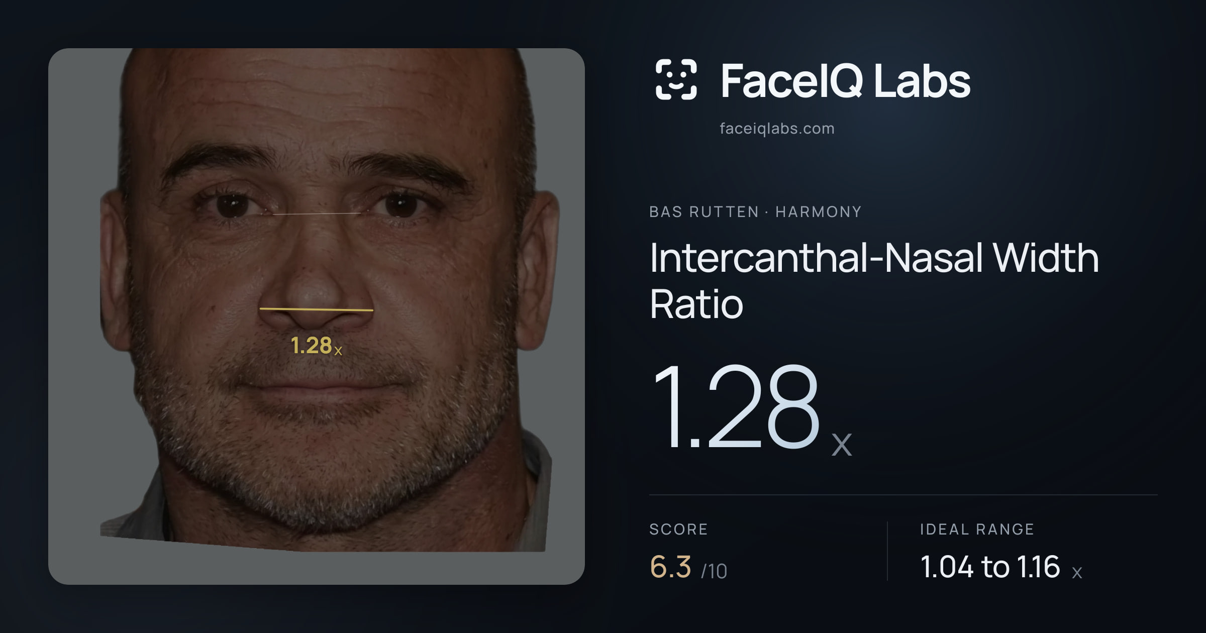 Bas Rutten Intercanthal-Nasal Width Ratio: 1.28x, drawn on the photo