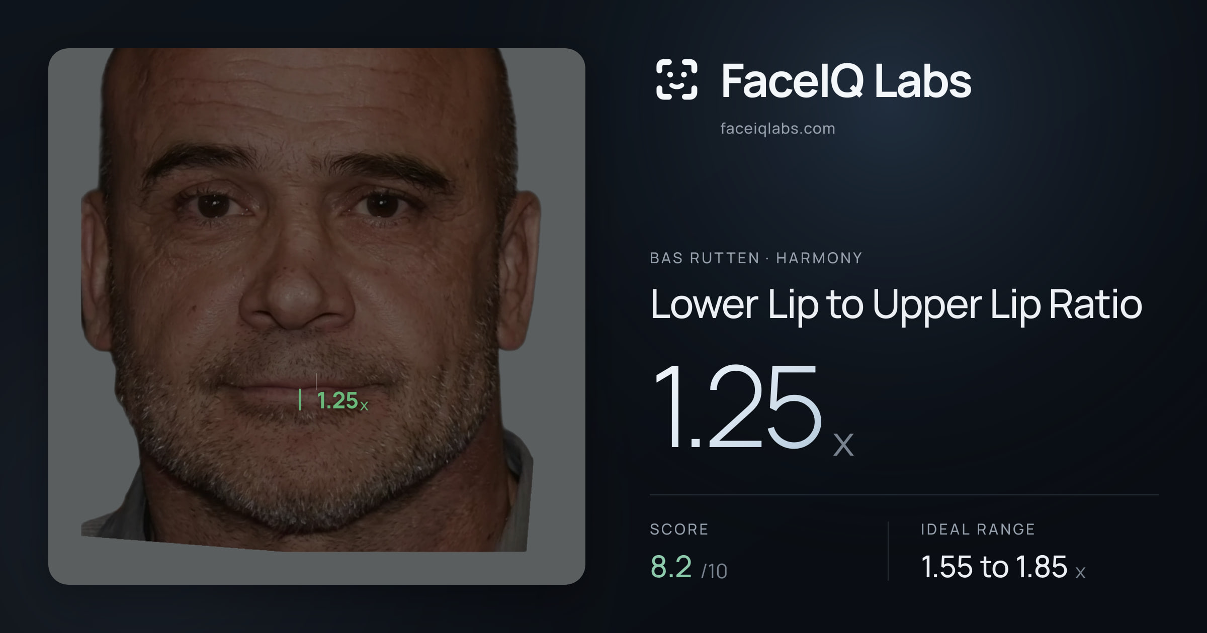 Bas Rutten Lower Lip to Upper Lip Ratio: 1.25x, drawn on the photo