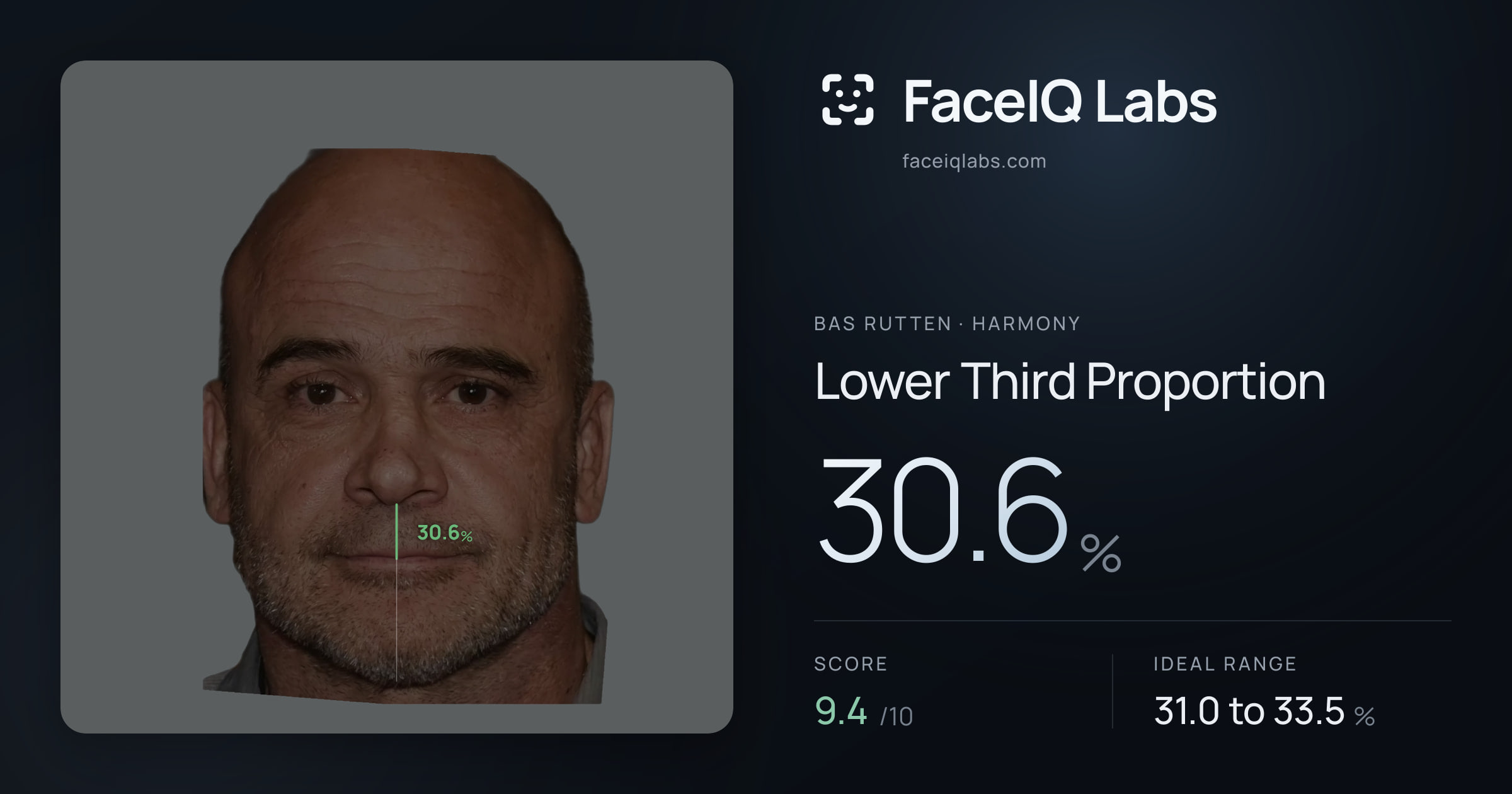 Bas Rutten Lower Third Proportion: 30.6%, drawn on the photo