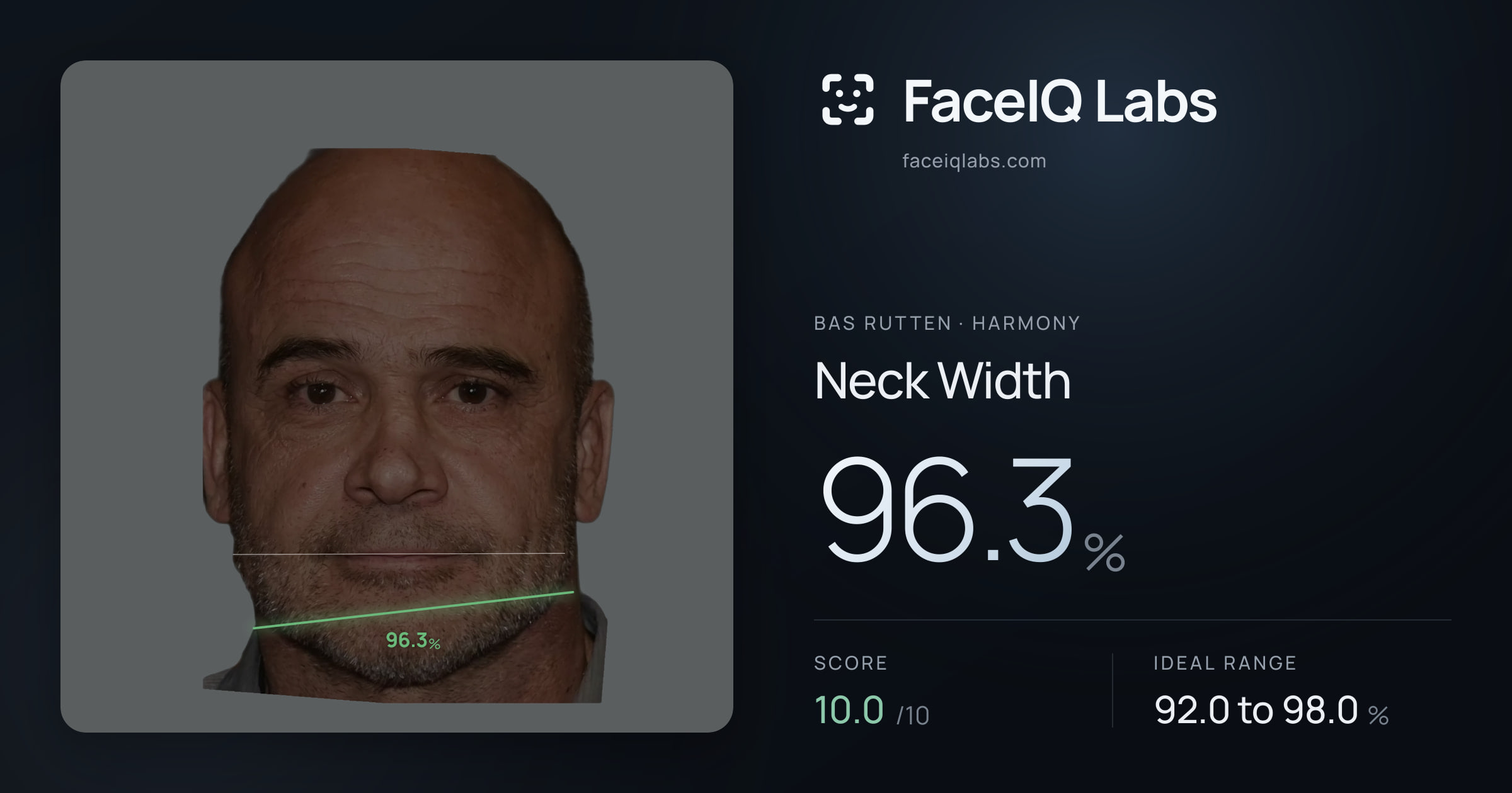 Bas Rutten Neck Width: 96.3%, drawn on the photo