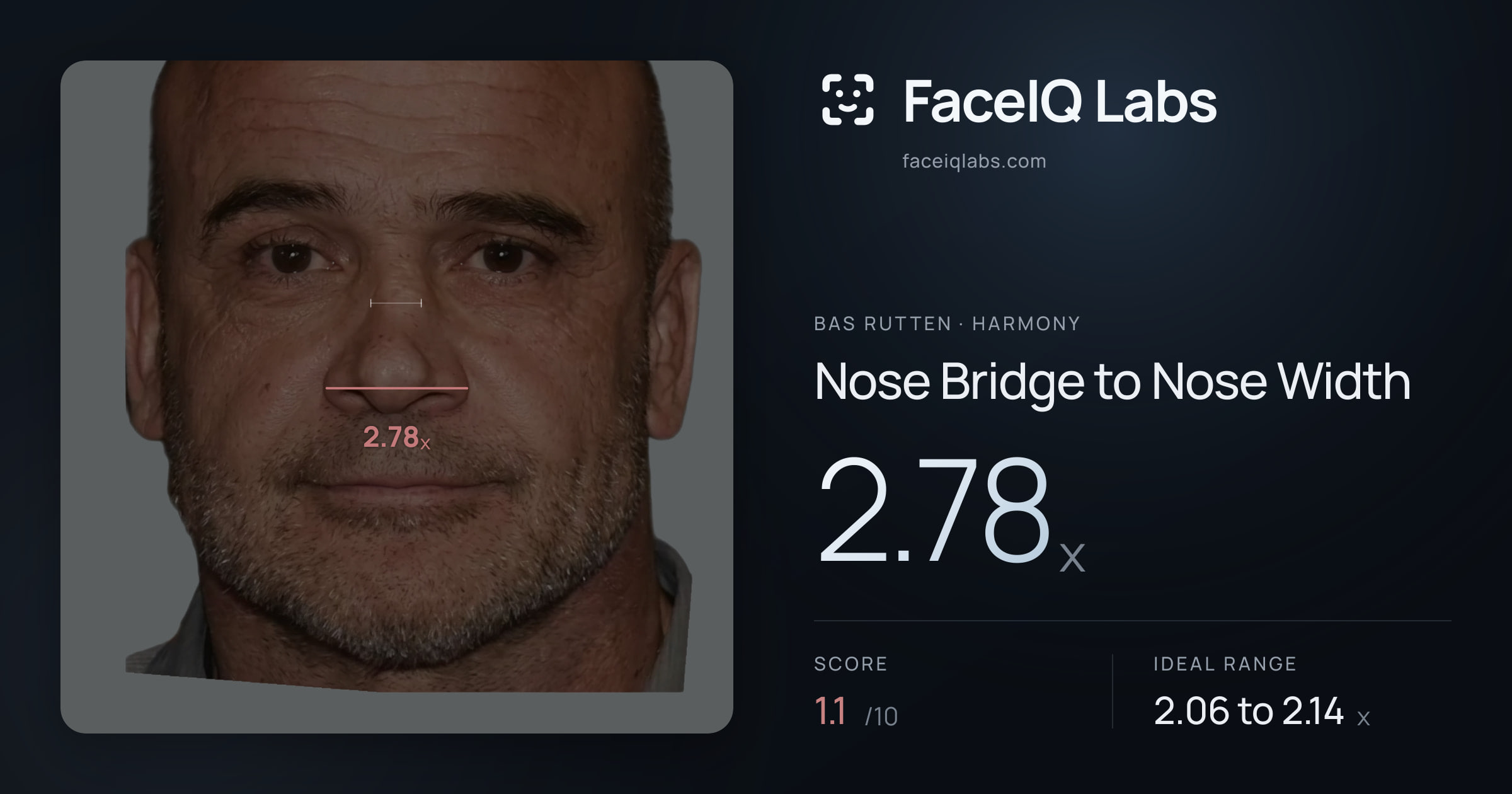 Bas Rutten Nose Bridge to Nose Width: 2.78x, drawn on the photo