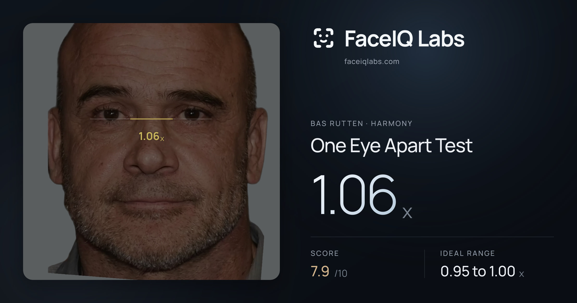 Bas Rutten One Eye Apart Test: 1.06x, drawn on the photo
