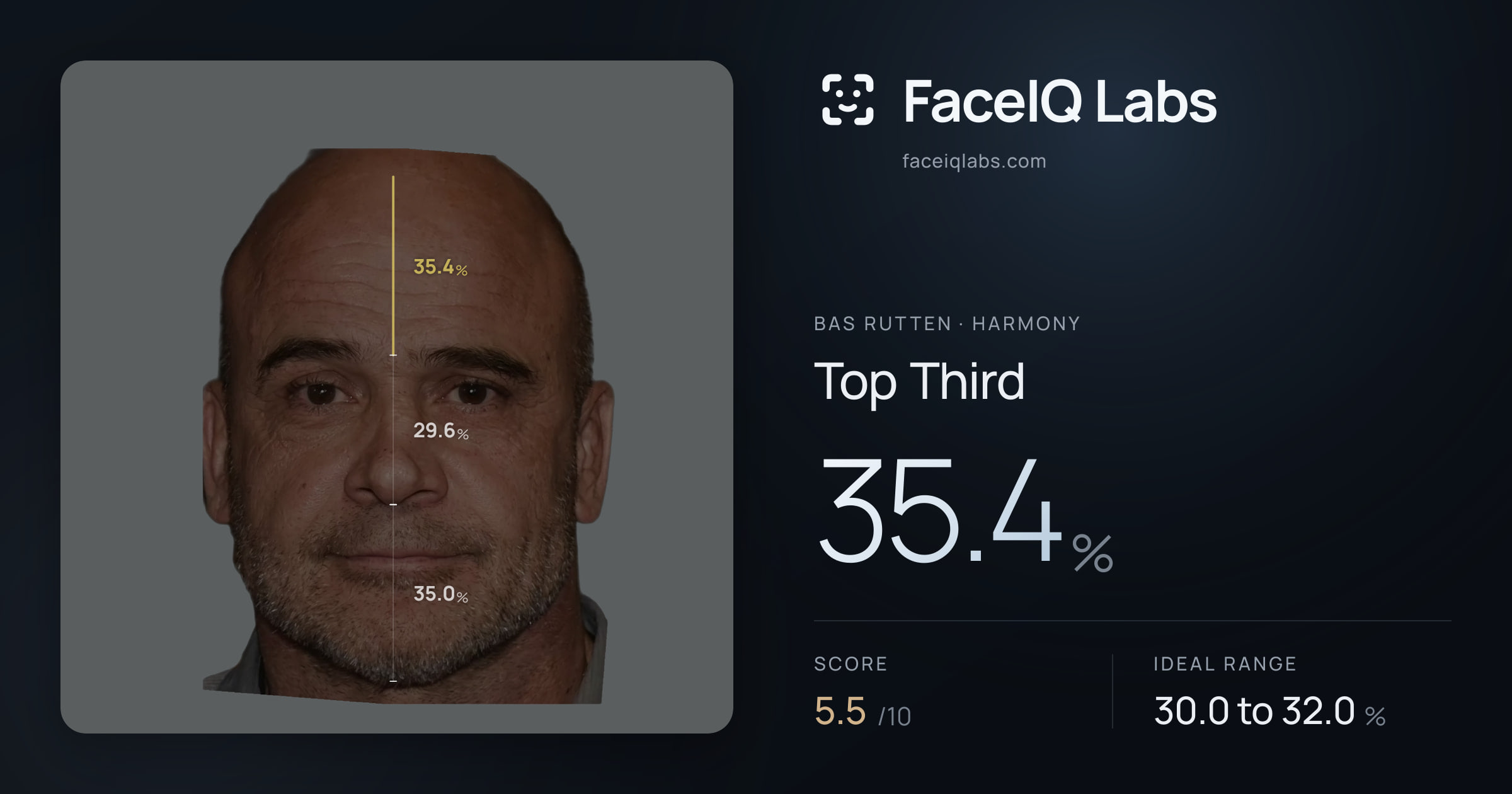 Bas Rutten Top Third: 35.4%, drawn on the photo