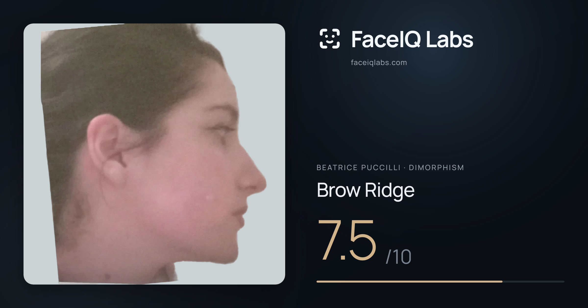 Beatrice Puccilli Brow Ridge: 7.5/10, drawn on the photo