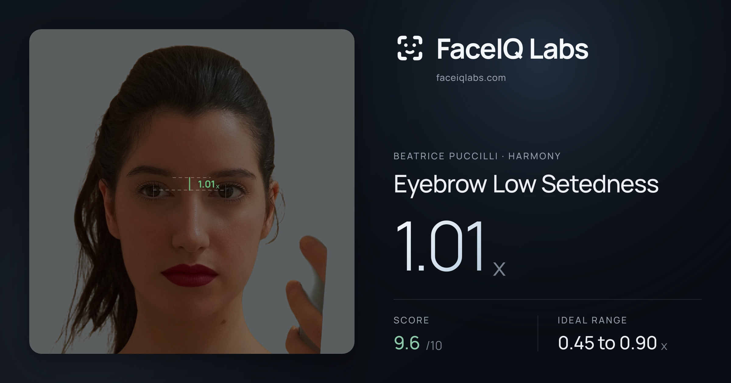 Beatrice Puccilli Eyebrow Low Setedness: 1.01x, drawn on the photo