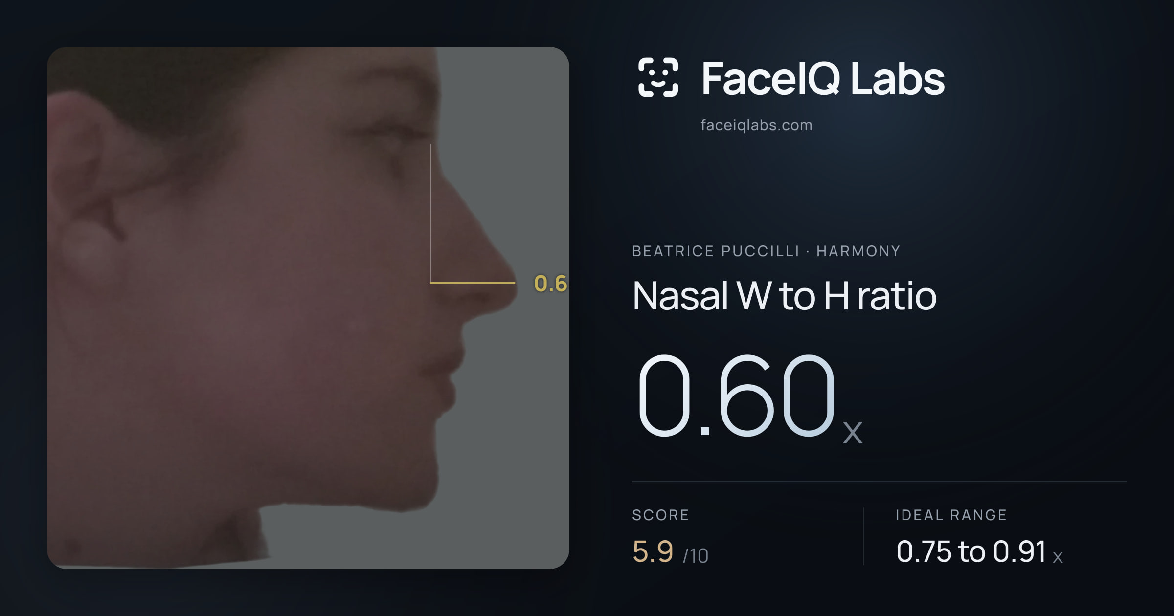 Beatrice Puccilli Nasal W to H ratio: 0.60x, drawn on the photo