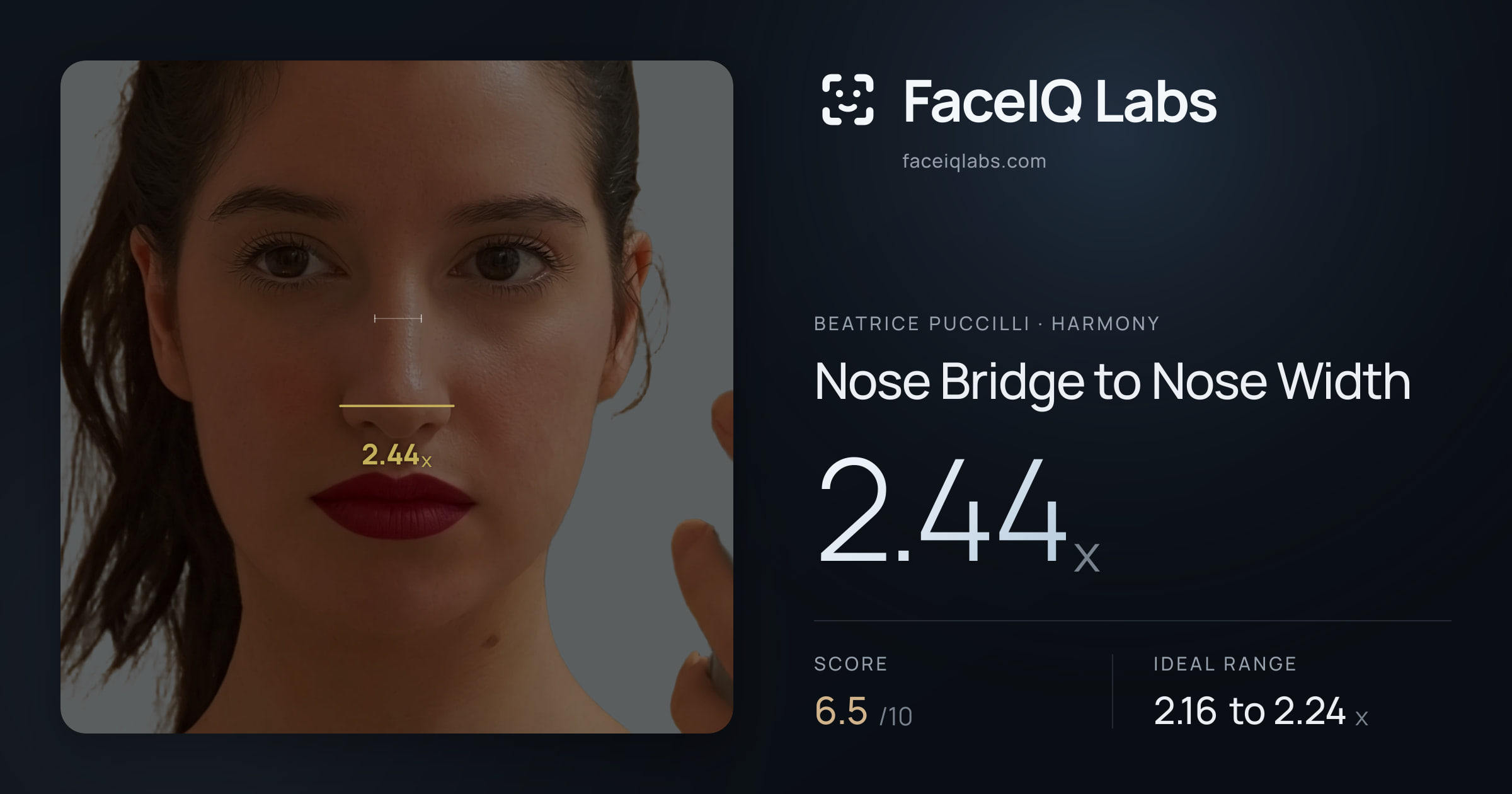 Beatrice Puccilli Nose Bridge to Nose Width: 2.44x, drawn on the photo