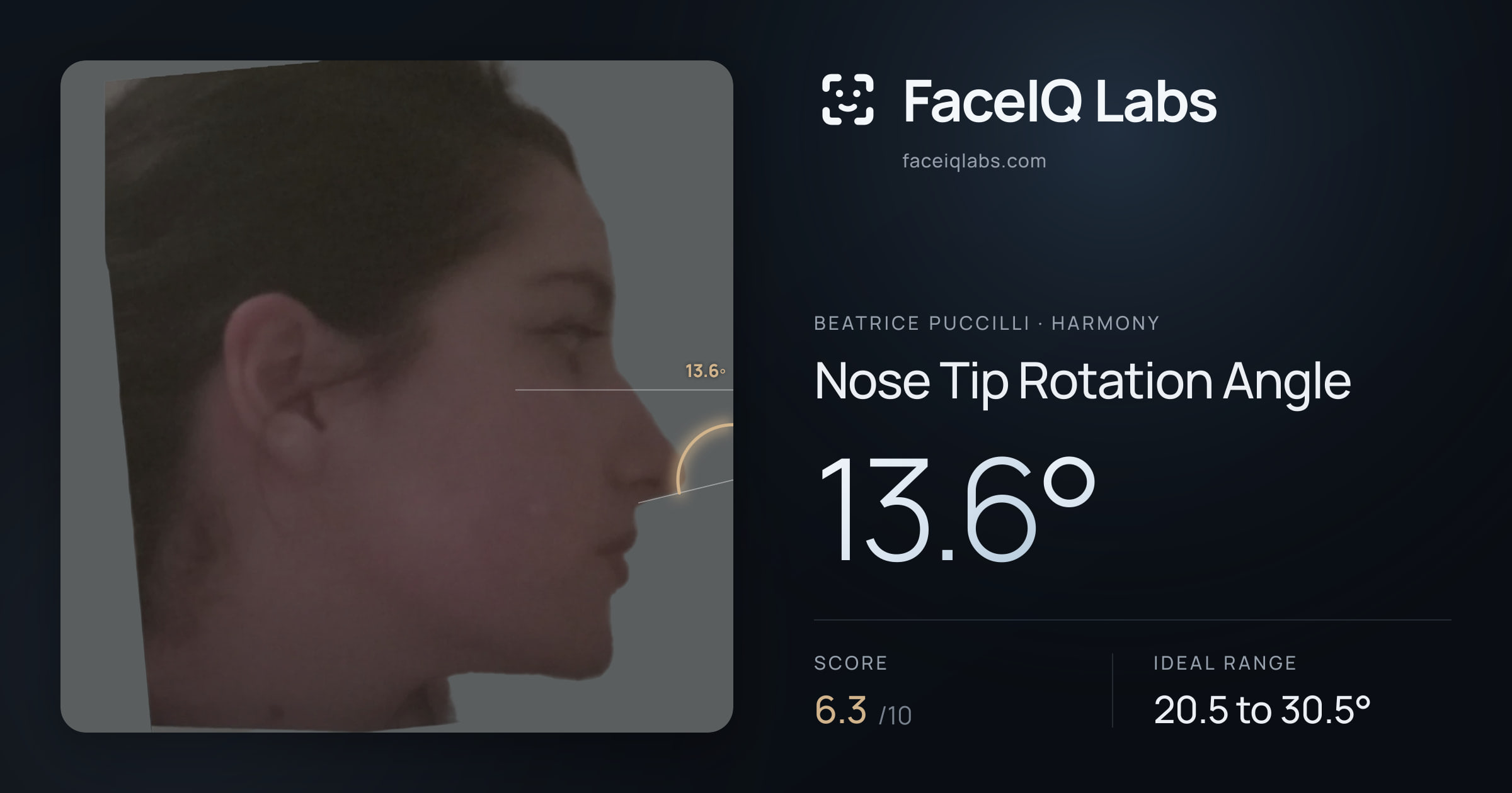Beatrice Puccilli Nose Tip Rotation Angle: 13.6°, drawn on the photo