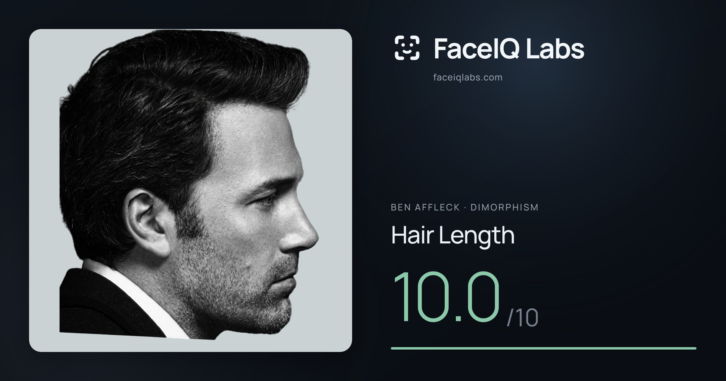 Ben Affleck Hair Length: 10.0/10, drawn on the photo