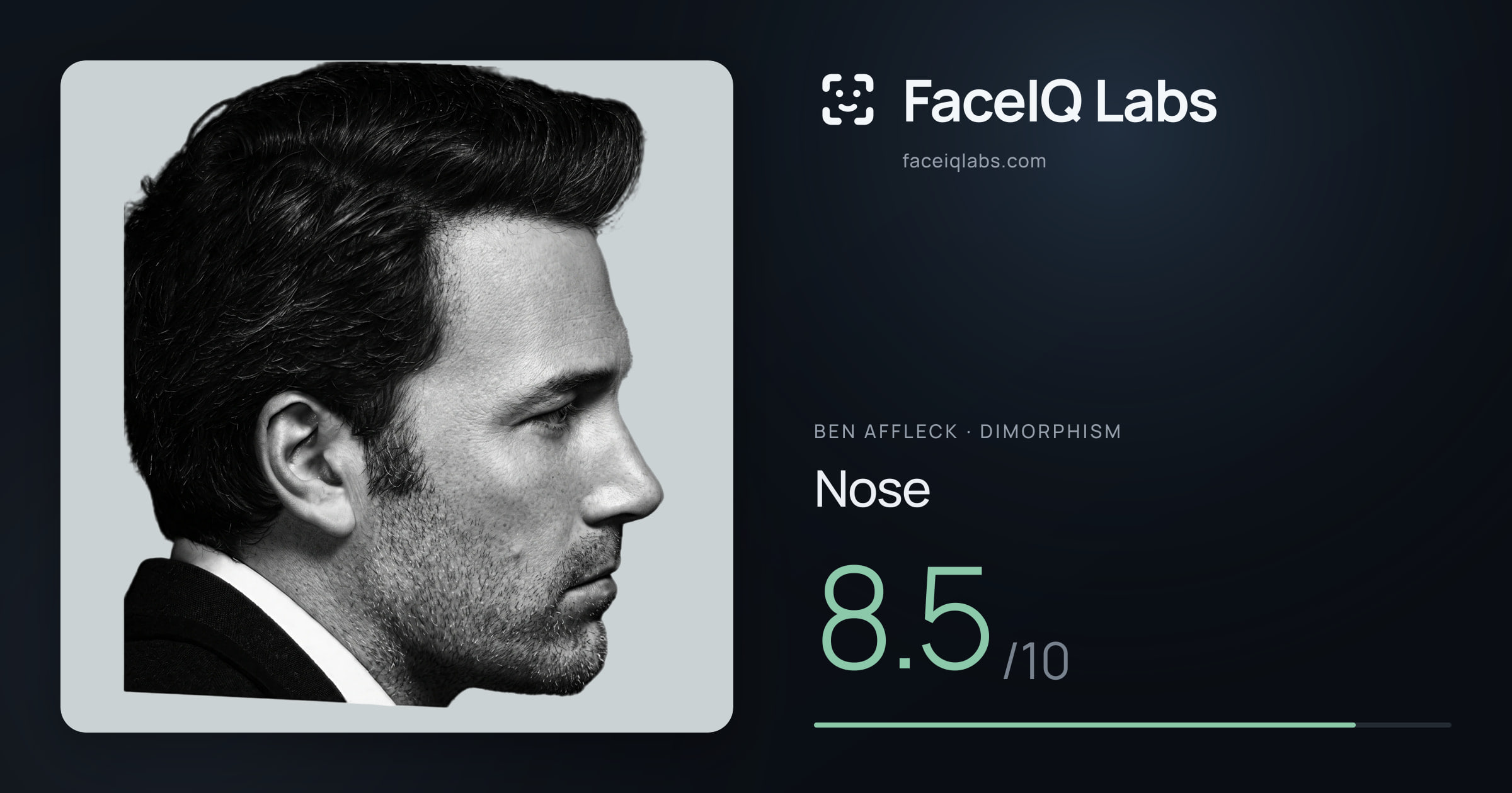 Ben Affleck Nose: 8.5/10, drawn on the photo