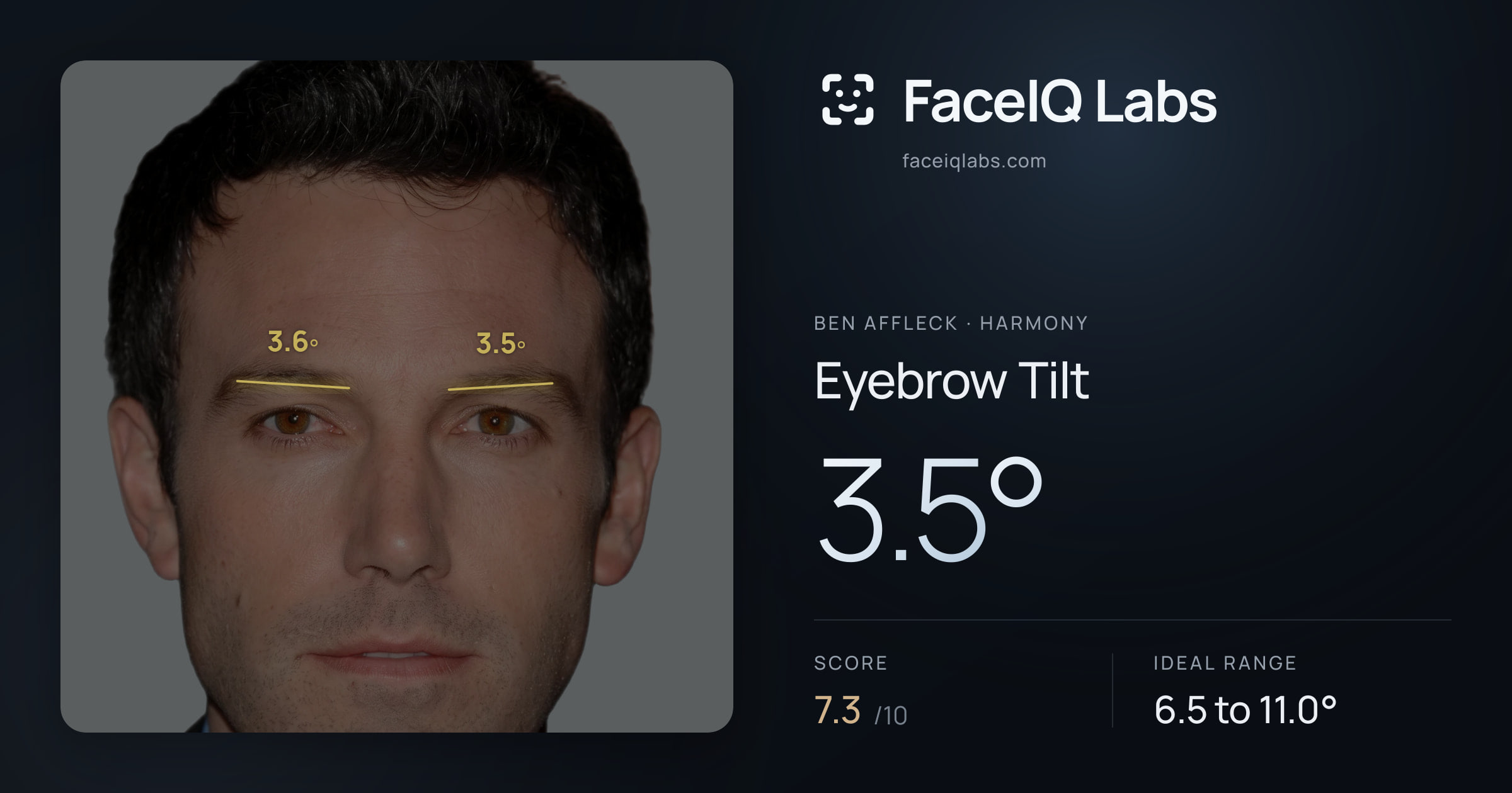Ben Affleck Eyebrow Tilt: 3.5°, drawn on the photo