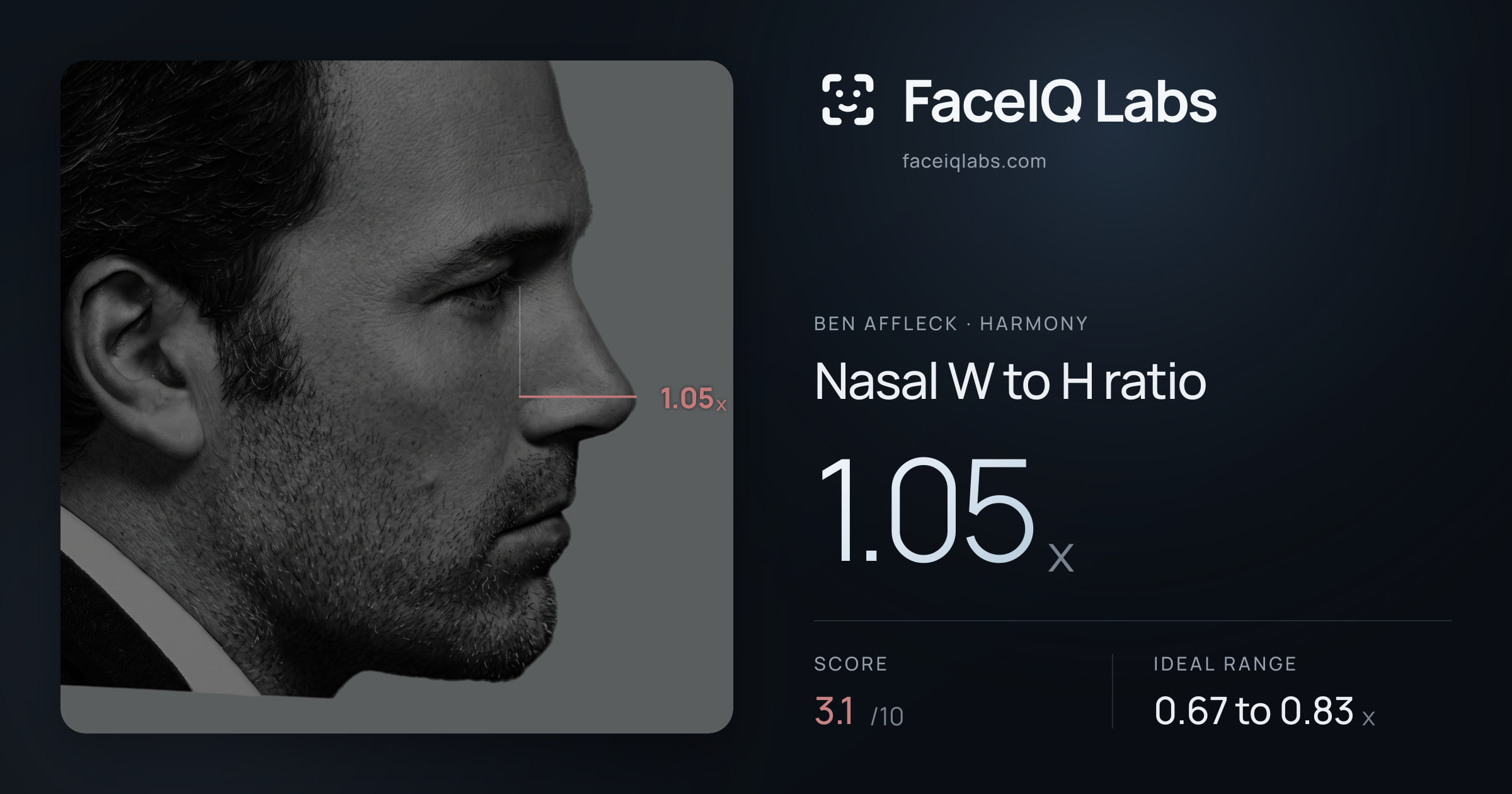 Ben Affleck Nasal W to H ratio: 1.05x, drawn on the photo