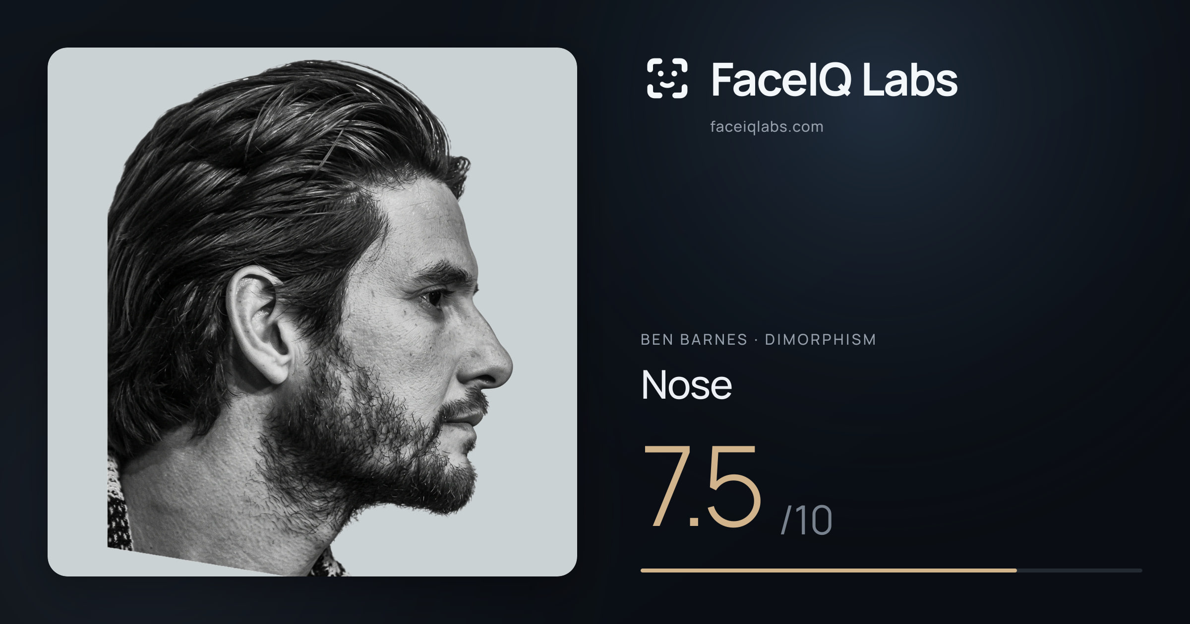 Ben Barnes Nose: 7.5/10, drawn on the photo