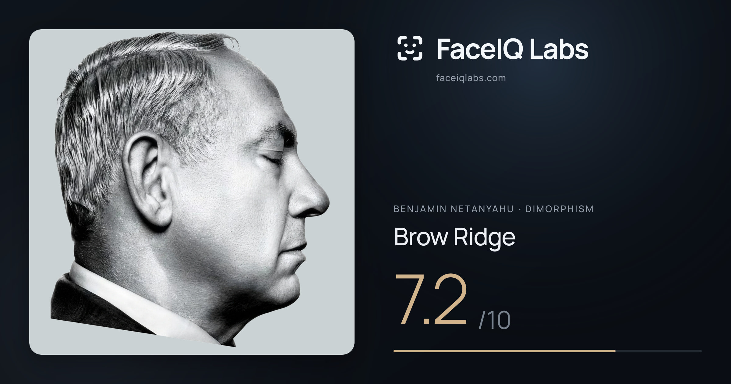 Benjamin Netanyahu Brow Ridge: 7.2/10, drawn on the photo