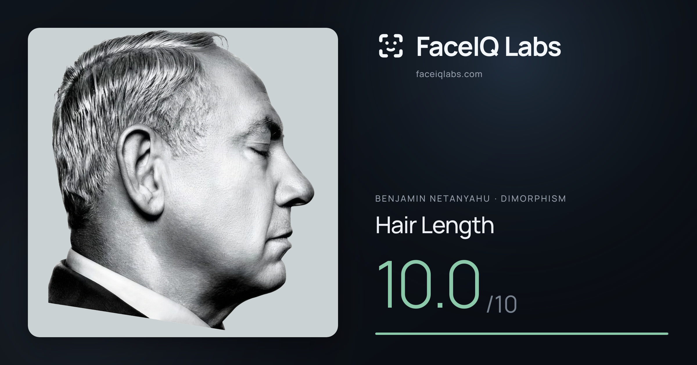 Benjamin Netanyahu Hair Length: 10.0/10, drawn on the photo