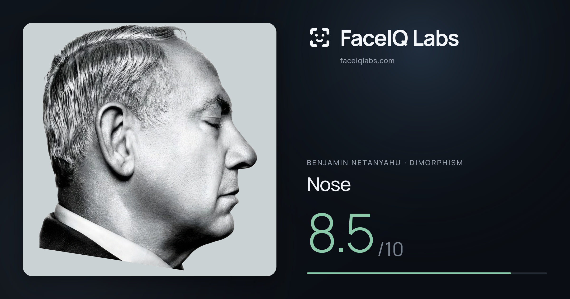 Benjamin Netanyahu Nose: 8.5/10, drawn on the photo