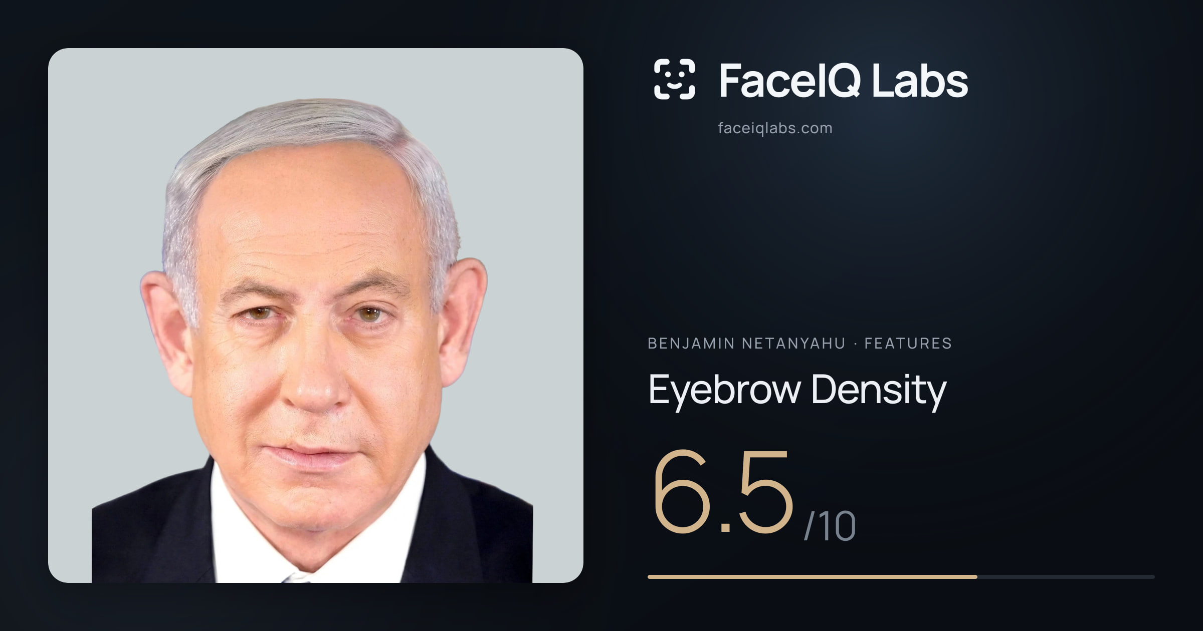 Benjamin Netanyahu Eyebrow Density: 6.5/10, drawn on the photo