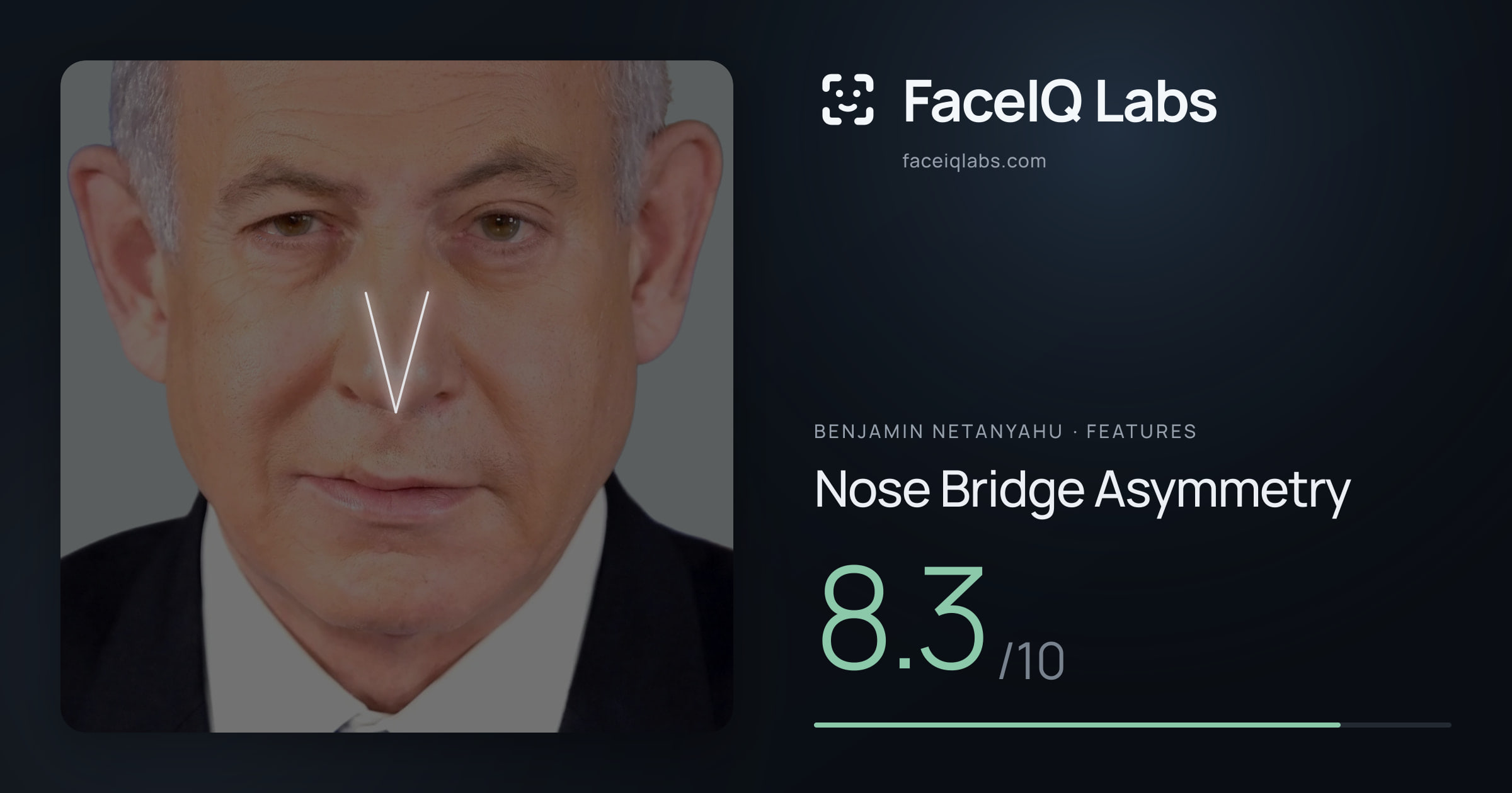 Benjamin Netanyahu Nose Bridge Asymmetry: 8.3/10, drawn on the photo