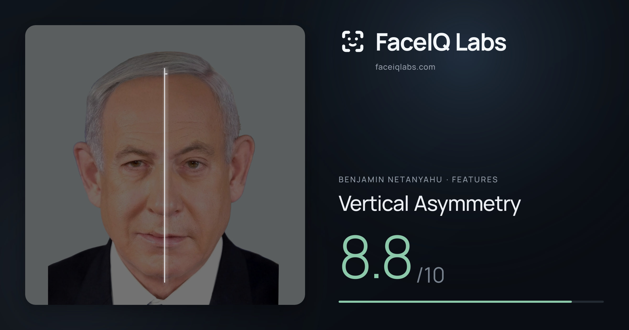 Benjamin Netanyahu Vertical Asymmetry: 8.8/10, drawn on the photo
