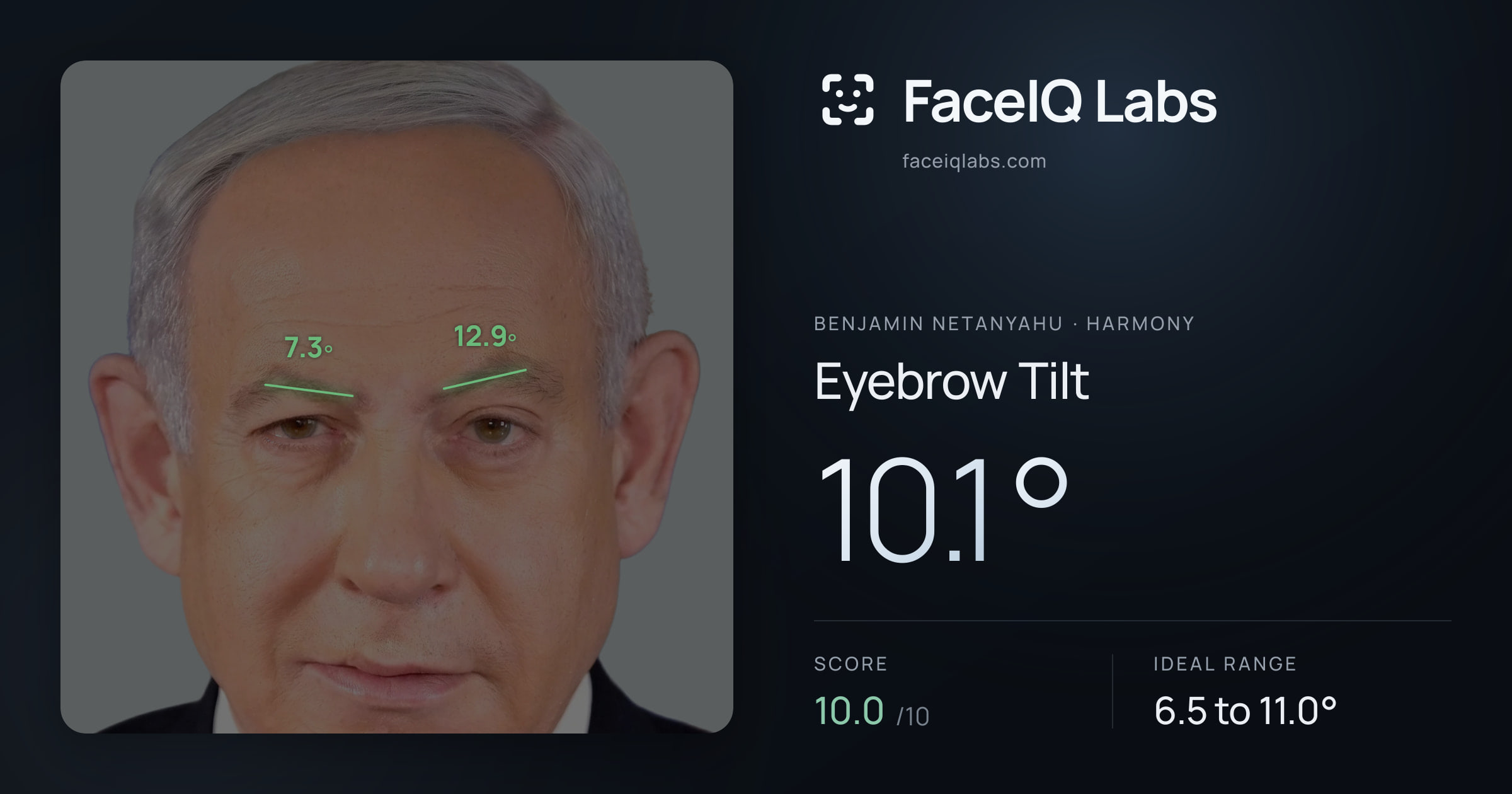 Benjamin Netanyahu Eyebrow Tilt: 10.1°, drawn on the photo