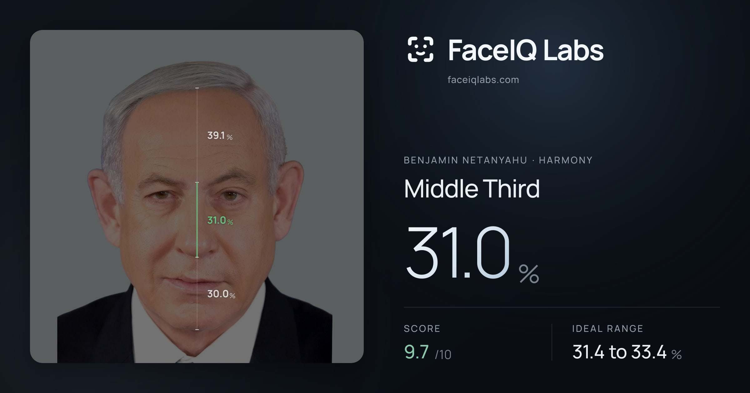 Benjamin Netanyahu Middle Third: 31.0%, drawn on the photo