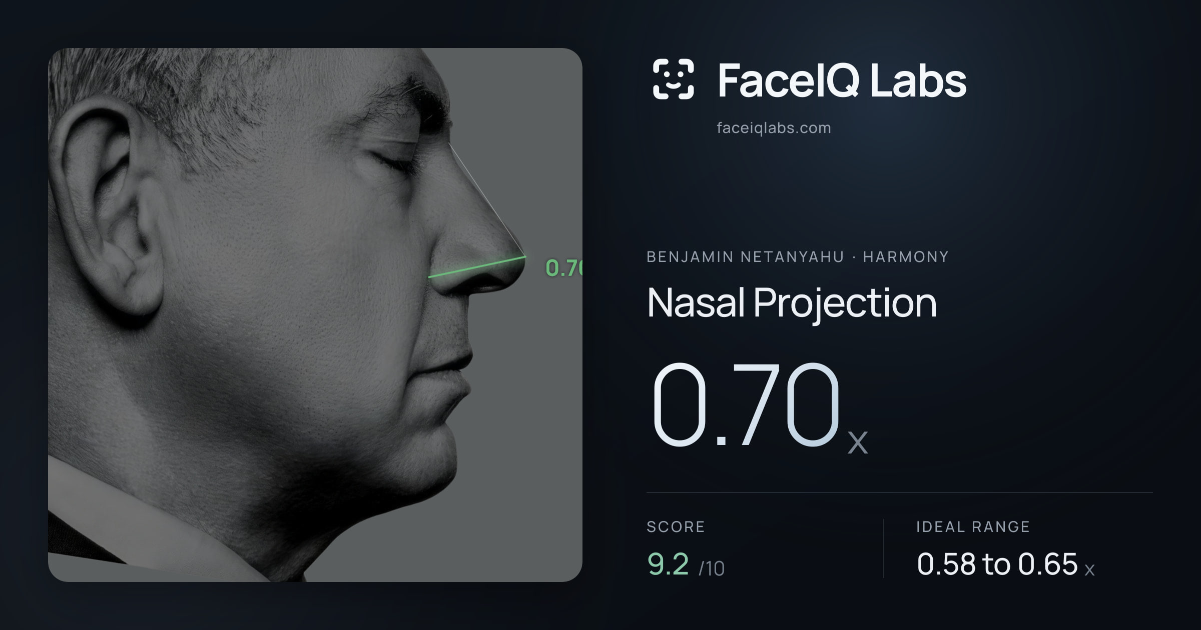 Benjamin Netanyahu Nasal Projection: 0.70x, drawn on the photo