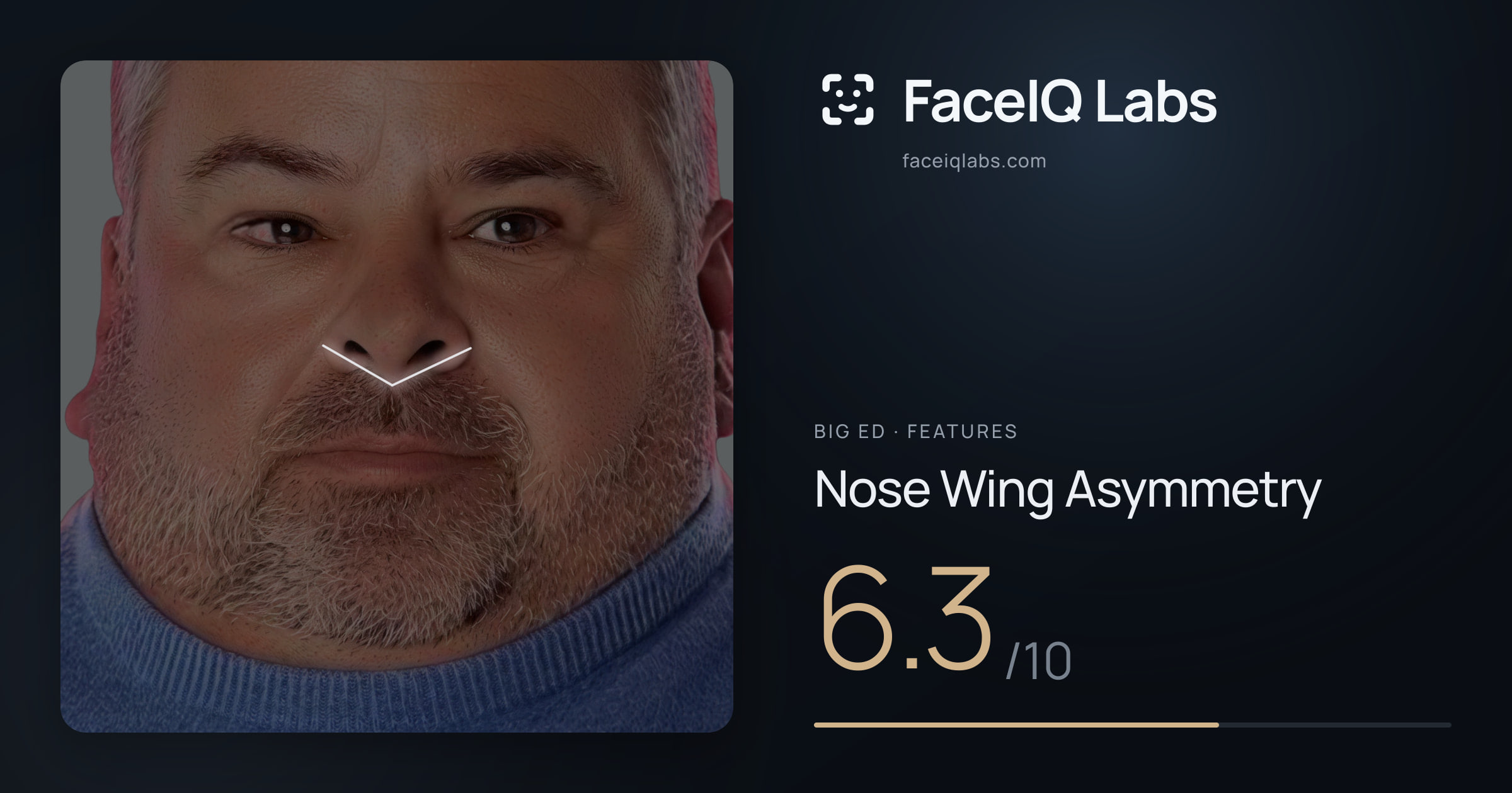 Big Ed Nose Wing Asymmetry: 6.3/10, drawn on the photo