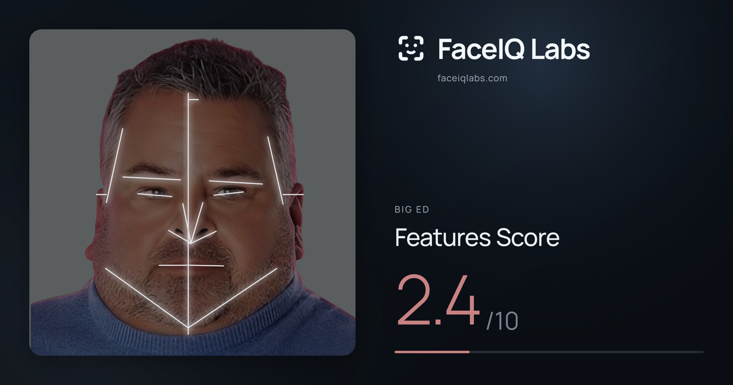 Big Ed Features: 2.4/10, with each assessment drawn on the photo