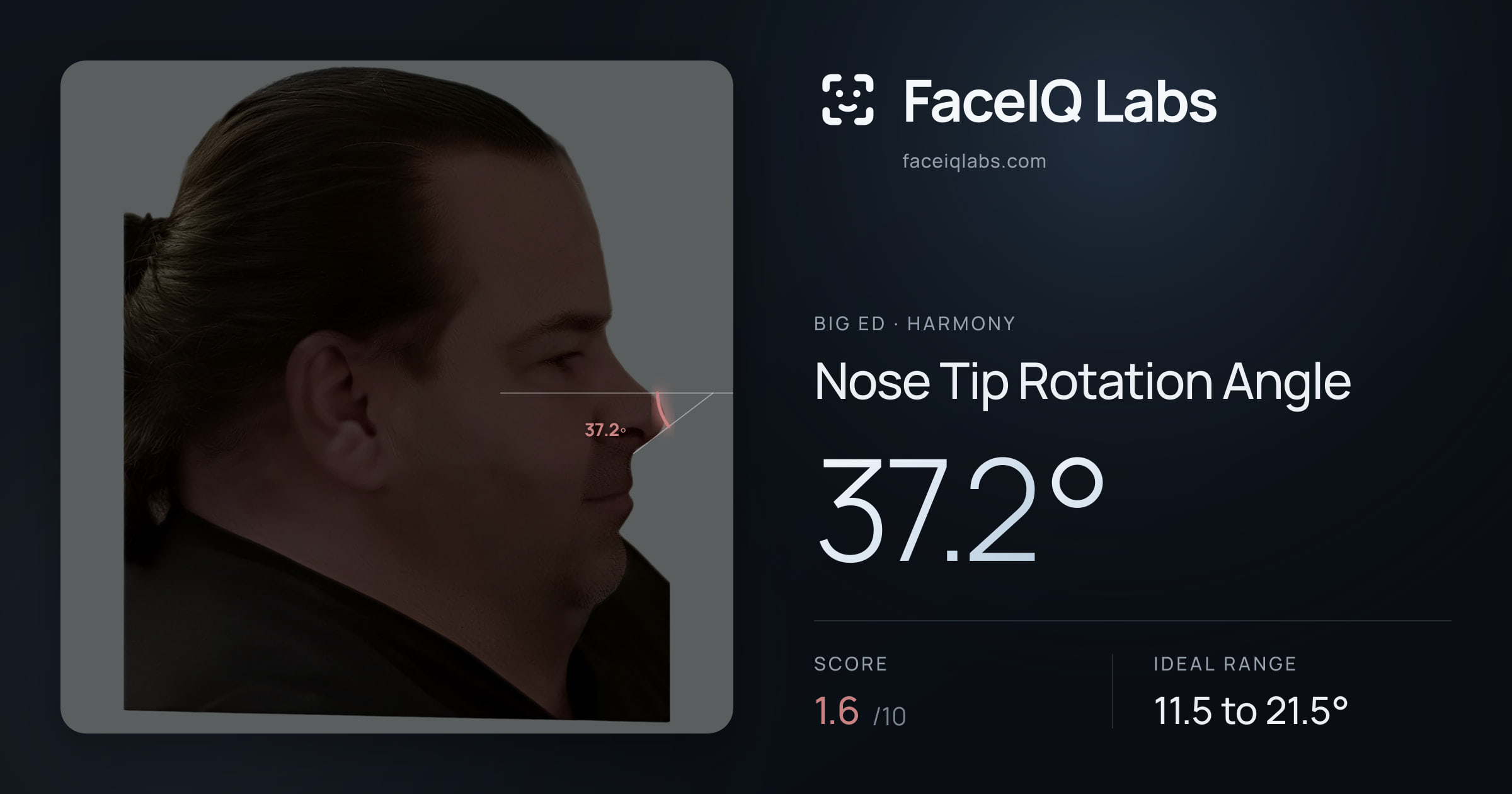 Big Ed Nose Tip Rotation Angle: 37.2°, drawn on the photo