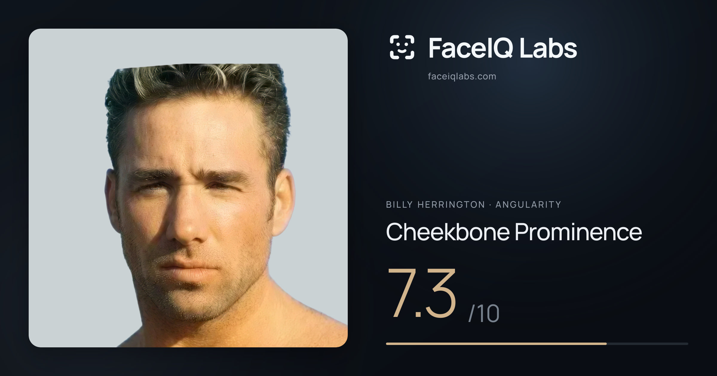 Billy Herrington Cheekbone Prominence: 7.3/10, drawn on the photo