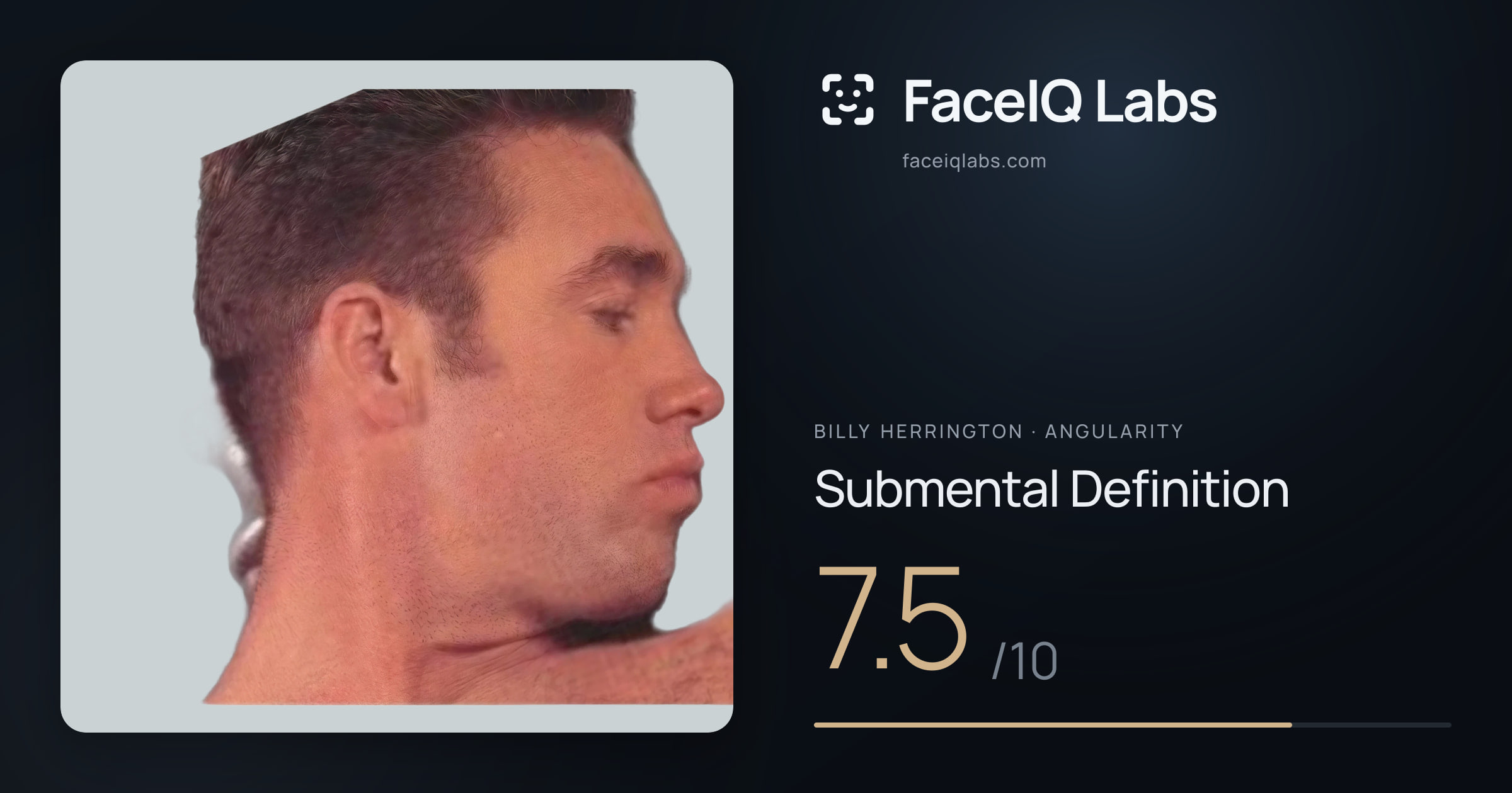 Billy Herrington Submental Definition: 7.5/10, drawn on the photo