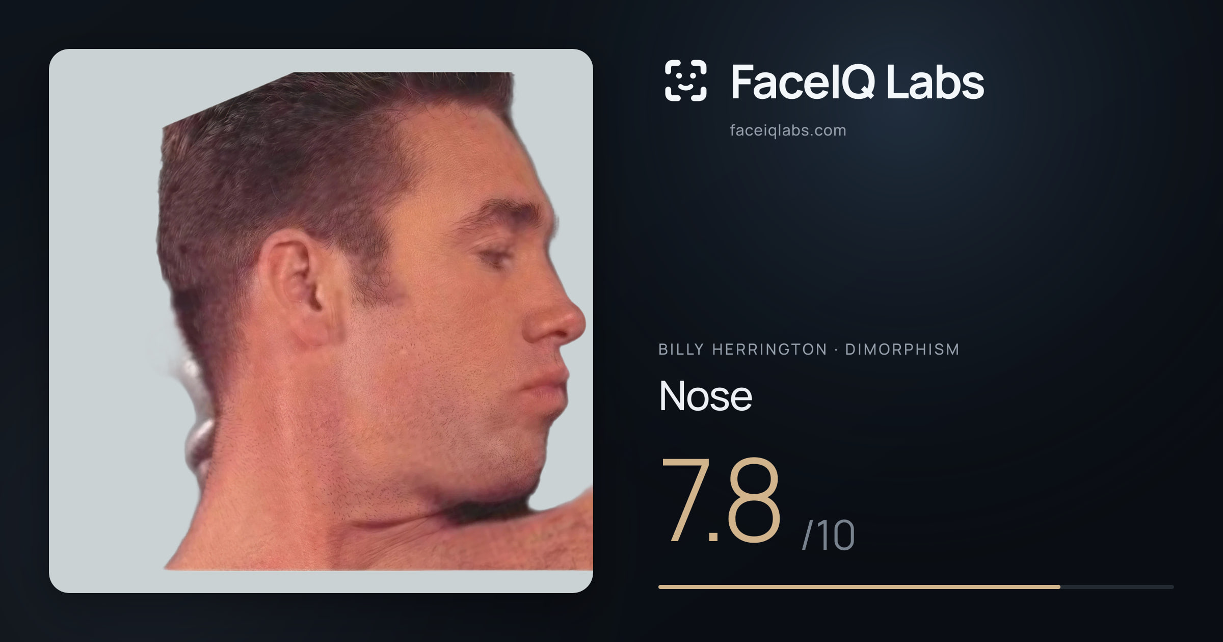 Billy Herrington Nose: 7.8/10, drawn on the photo