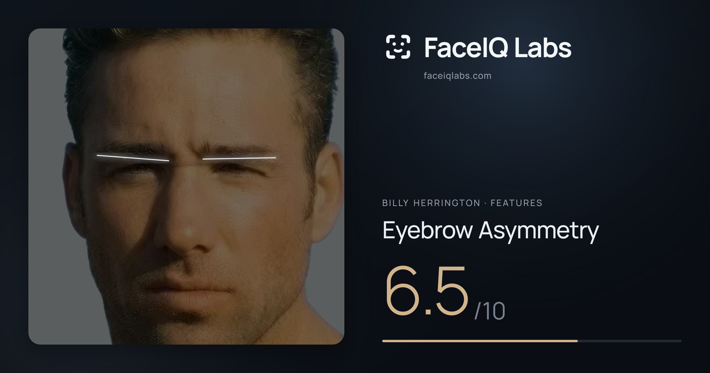 Billy Herrington Eyebrow Asymmetry: 6.5/10, drawn on the photo