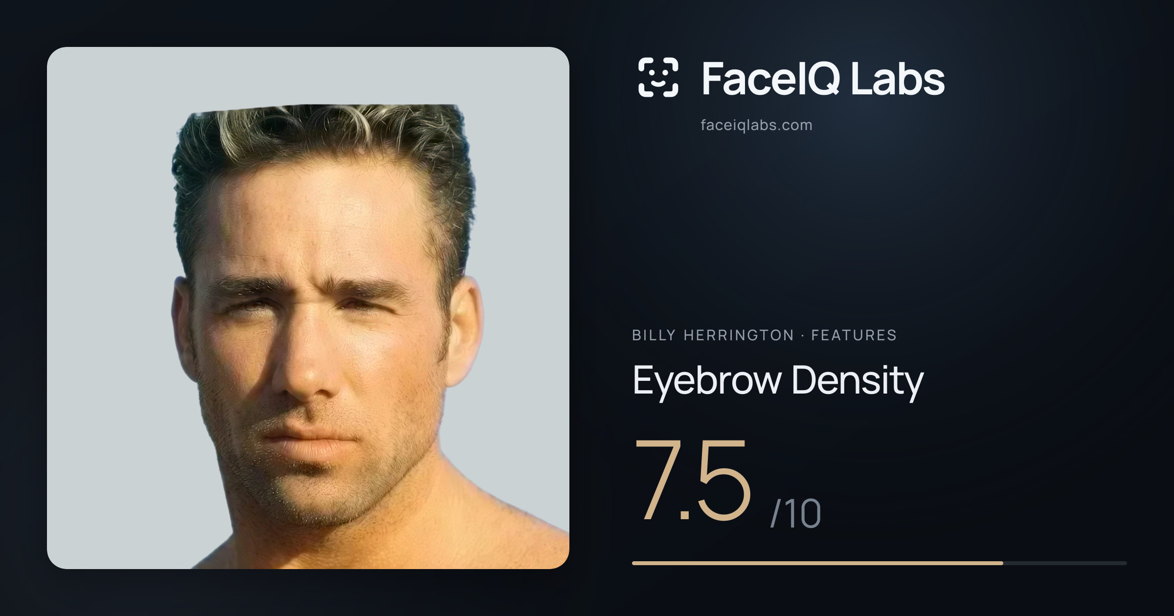 Billy Herrington Eyebrow Density: 7.5/10, drawn on the photo