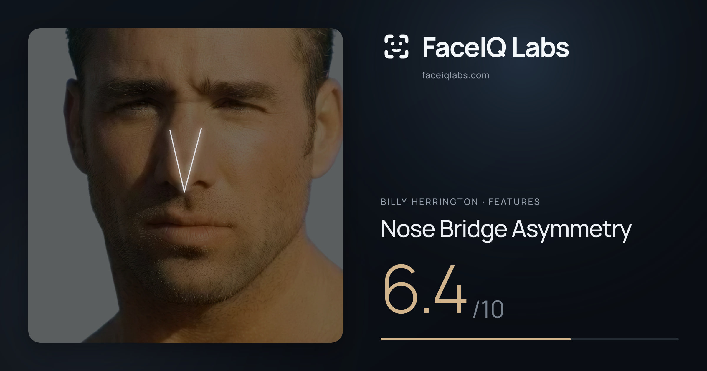 Billy Herrington Nose Bridge Asymmetry: 6.4/10, drawn on the photo